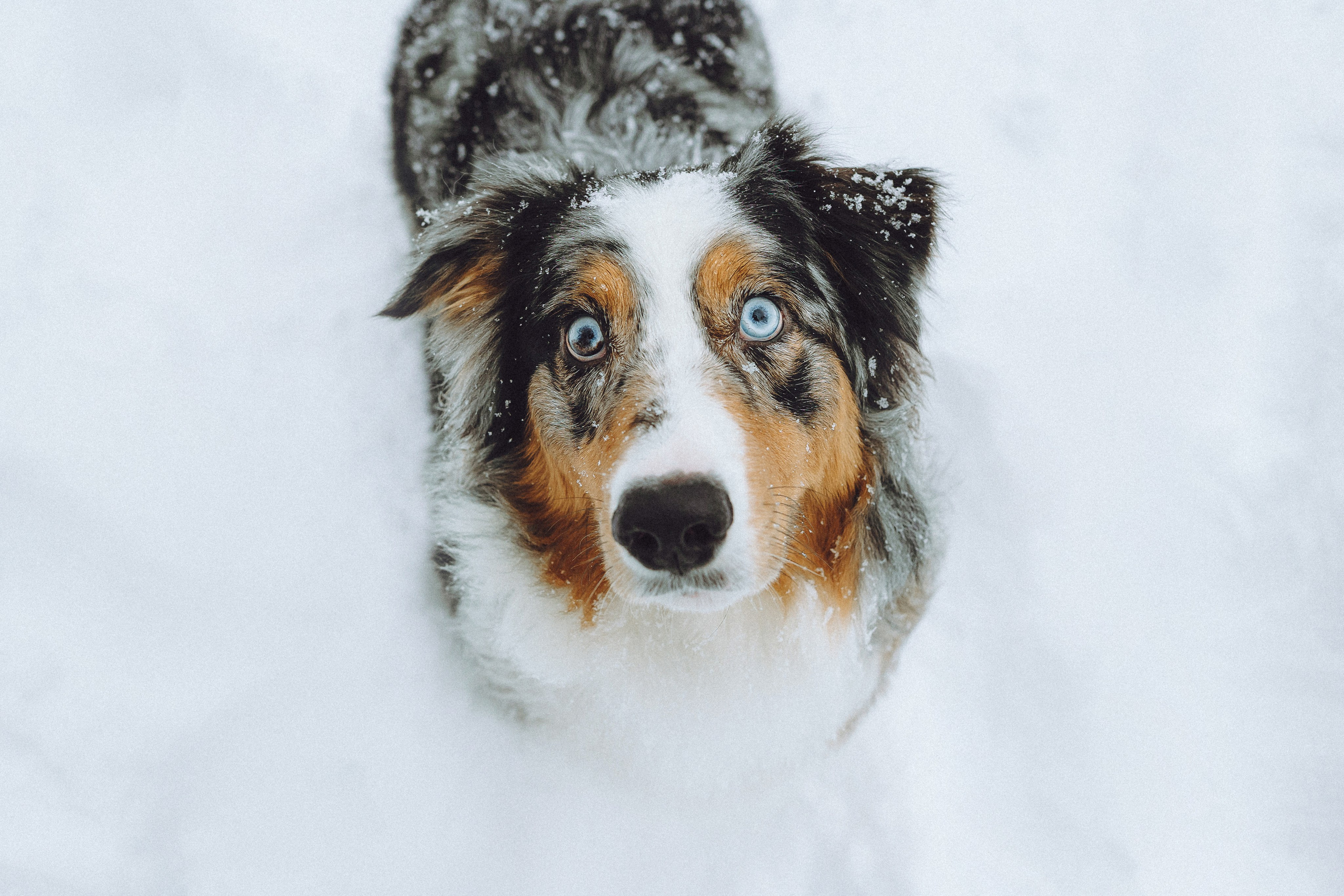 Фаня и ее семья