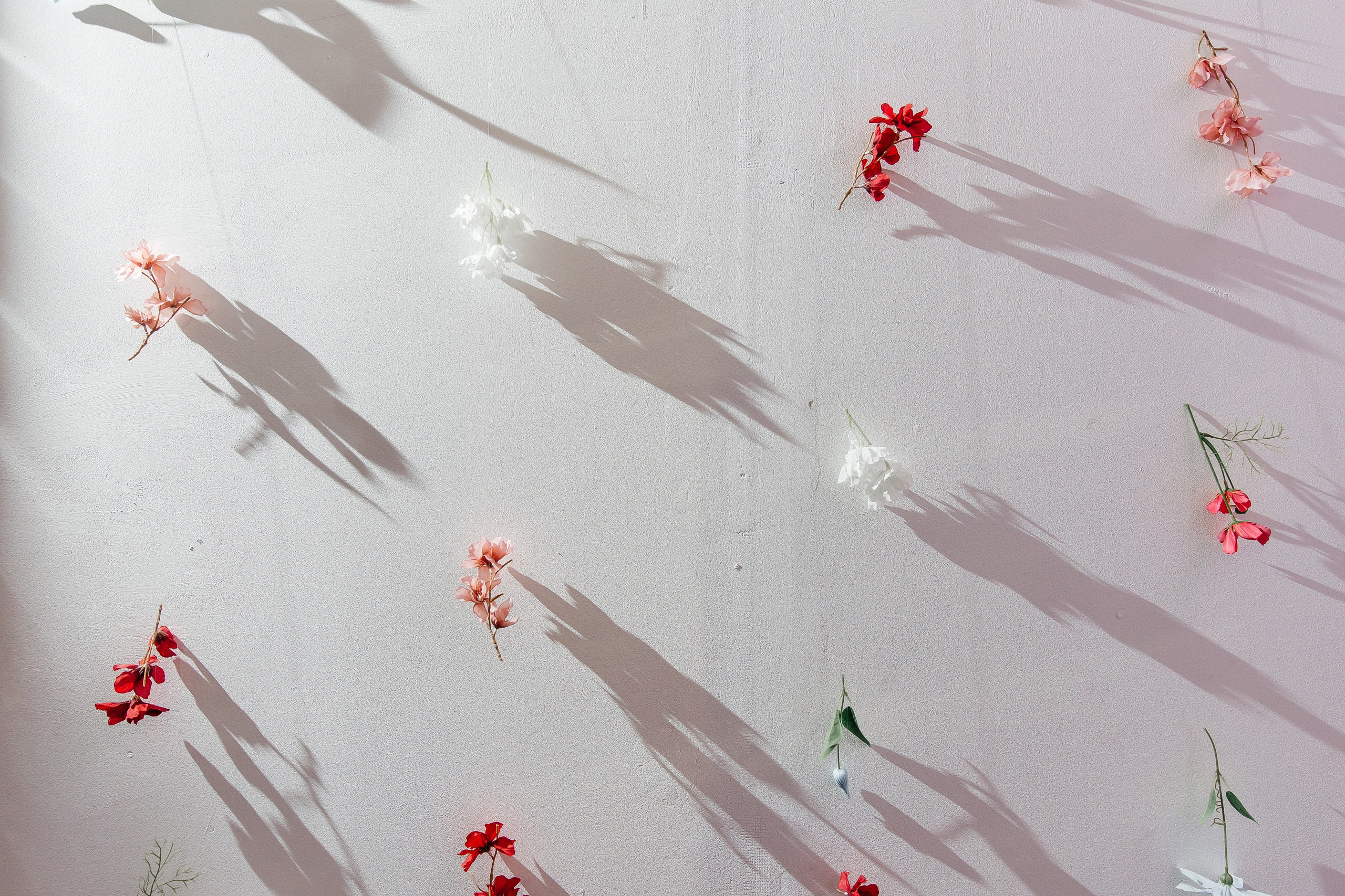 РУСАЛ 65 ЛЕТ. Фотограф в Красноярске