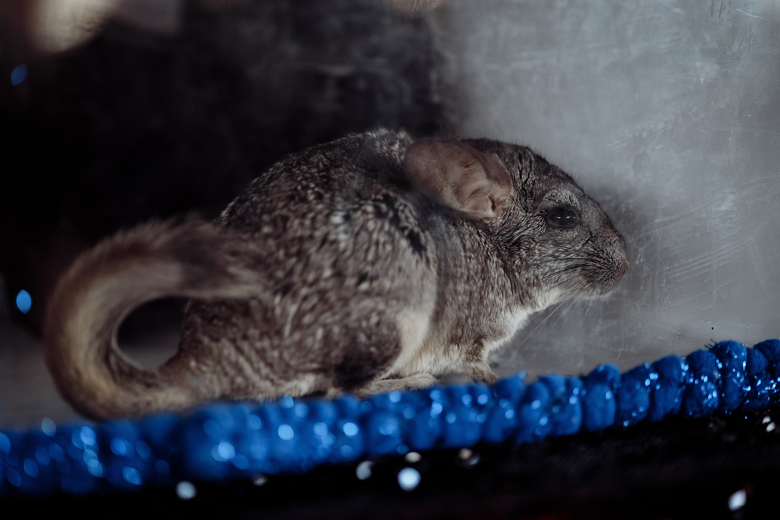 День рождения Серёжи. Фотограф на свадьбу корпоратив репортаж Артем Бочаров Москва