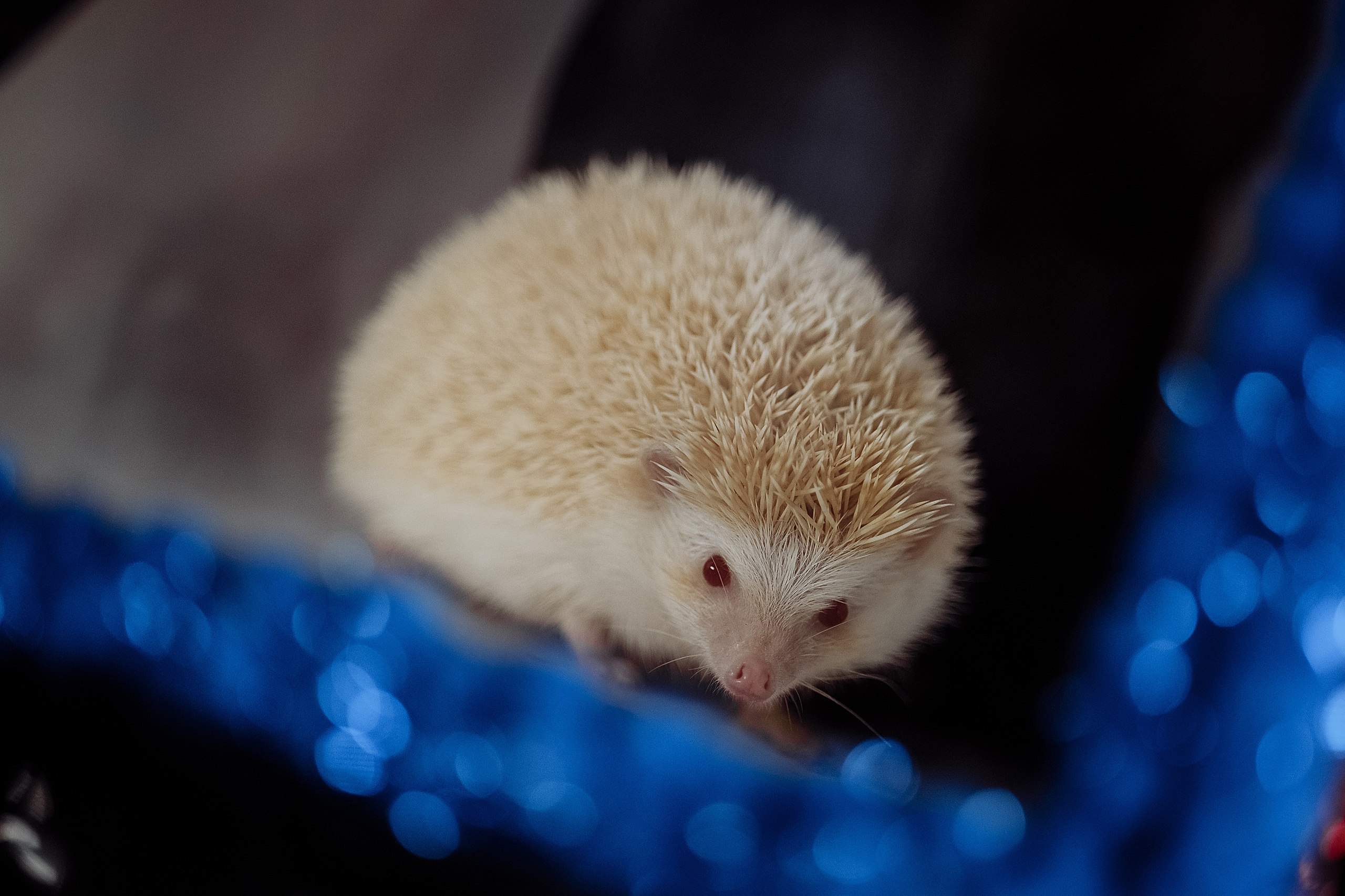 День рождения Серёжи. Фотограф на свадьбу корпоратив репортаж Артем Бочаров Москва