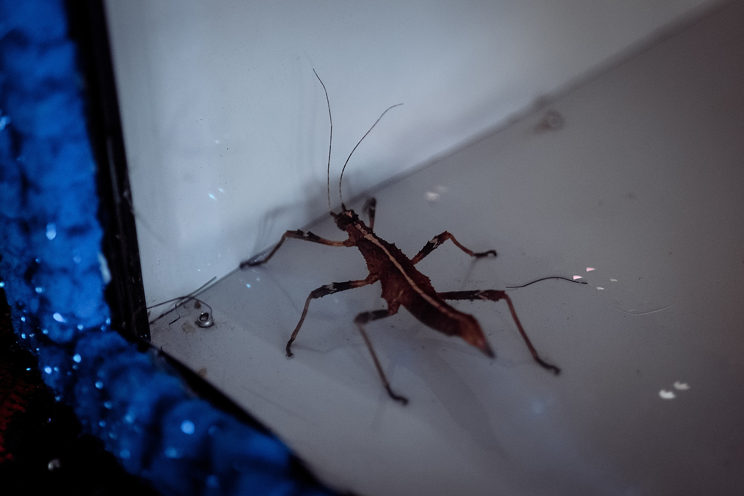 День рождения Серёжи. Фотограф на свадьбу корпоратив репортаж Артем Бочаров Москва