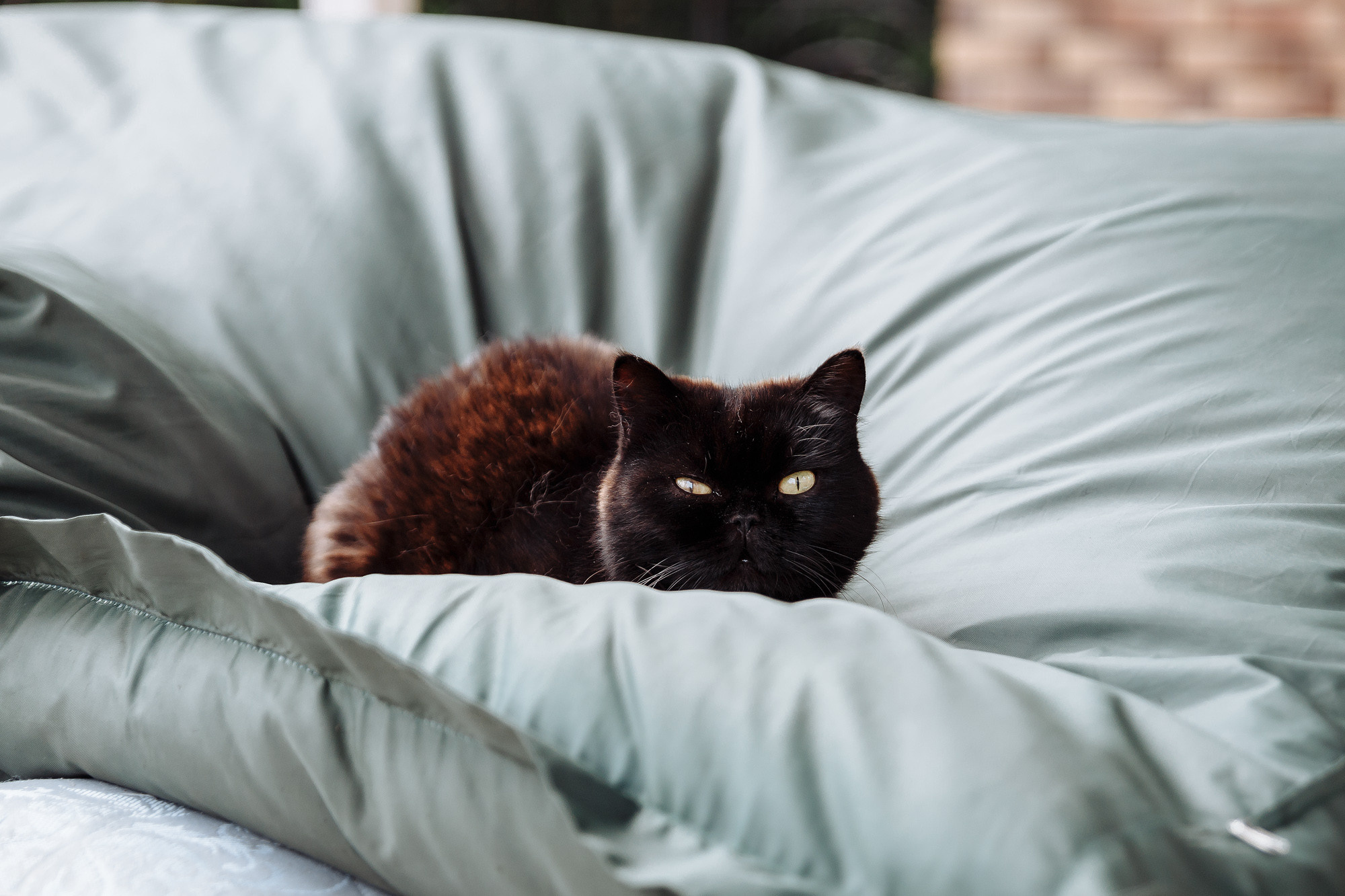 День рождения Оли. Фотограф на свадьбу корпоратив репортаж Артем Бочаров Москва