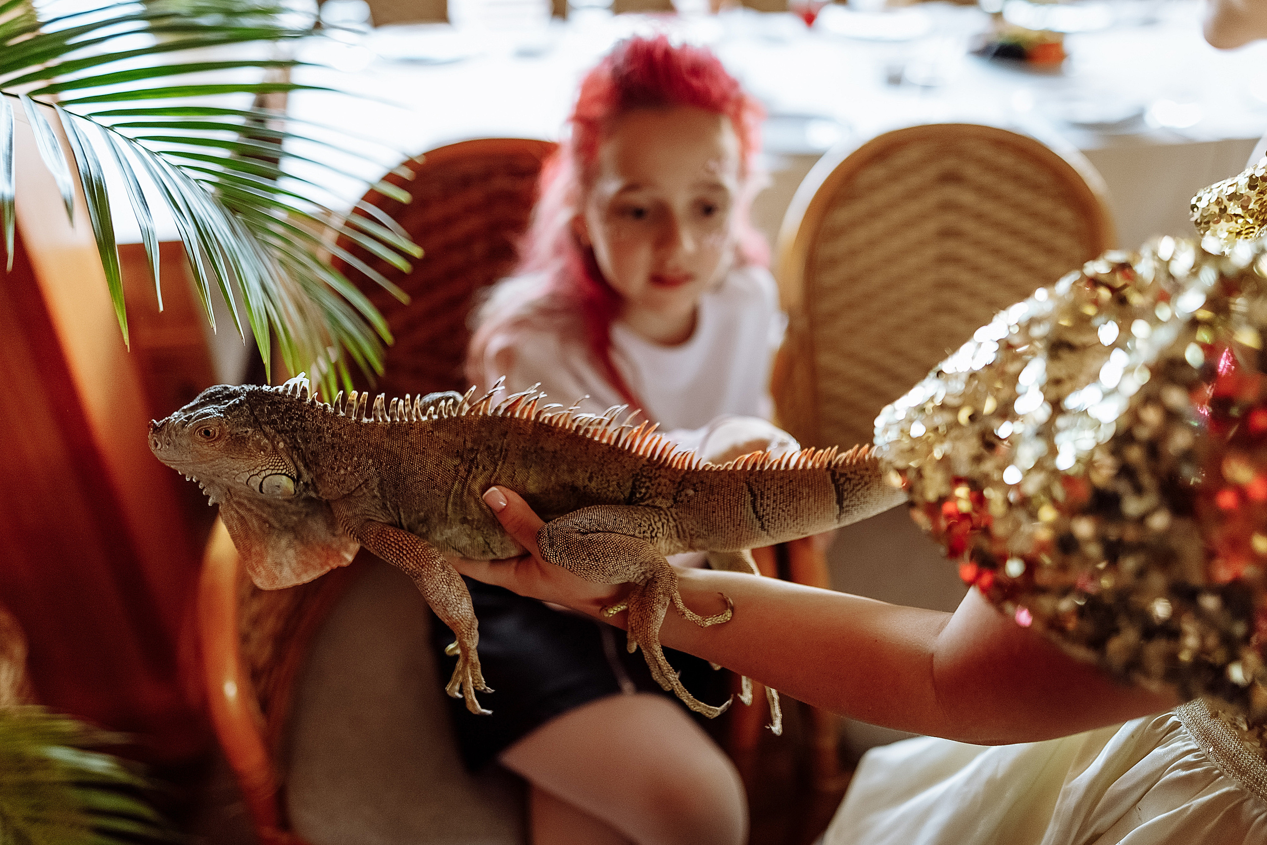 День рождения Серёжи. Фотограф на свадьбу корпоратив репортаж Артем Бочаров Москва