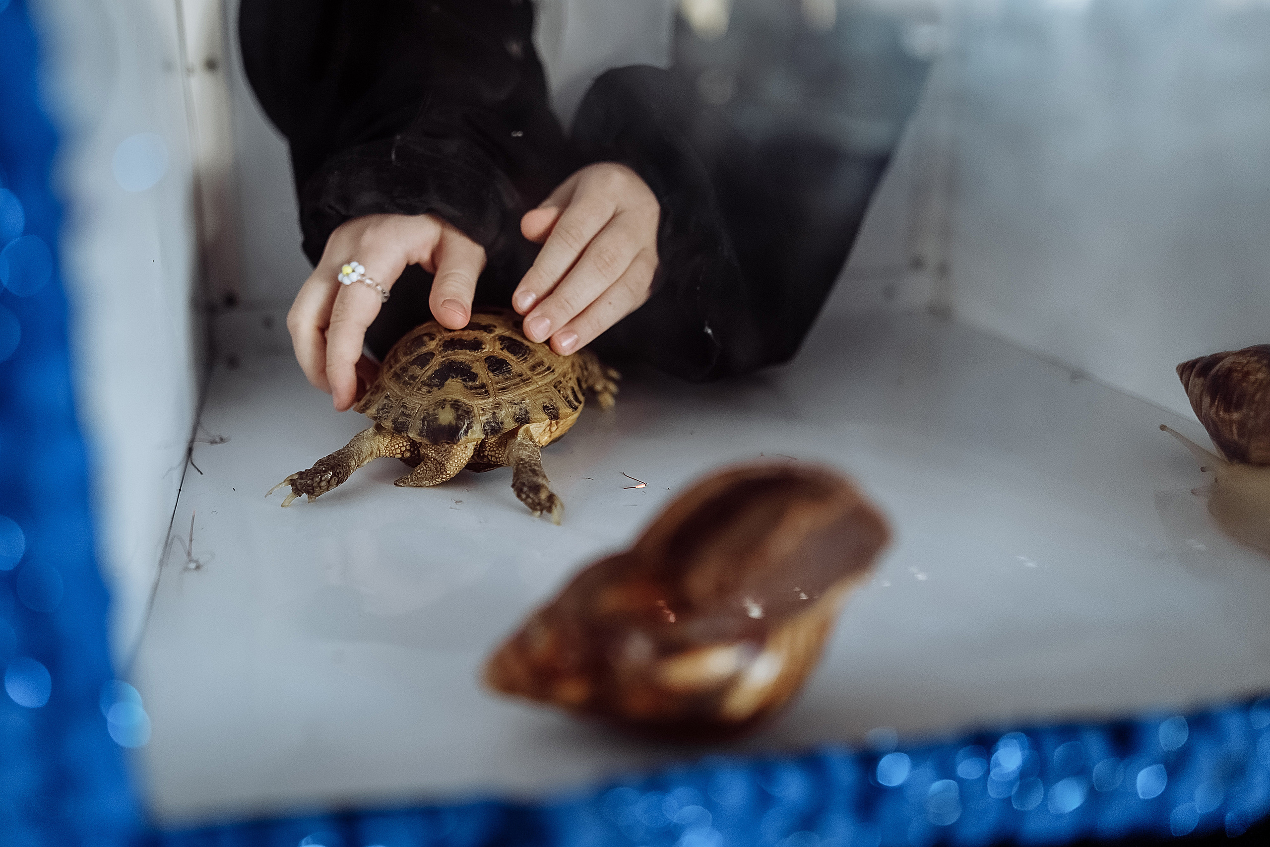День рождения Серёжи. Фотограф на свадьбу корпоратив репортаж Артем Бочаров Москва