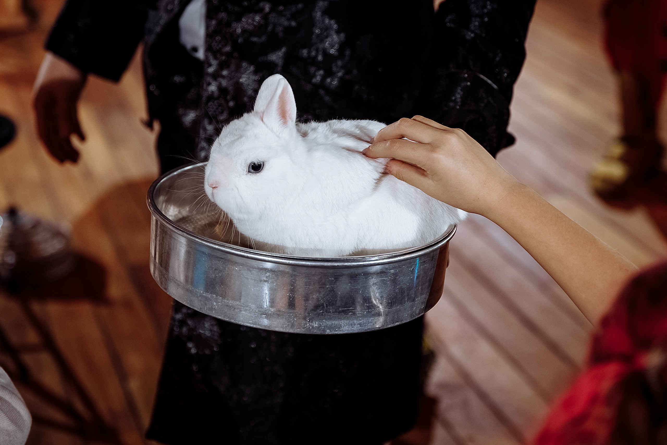 День рождения Серёжи. Фотограф на свадьбу корпоратив репортаж Артем Бочаров Москва