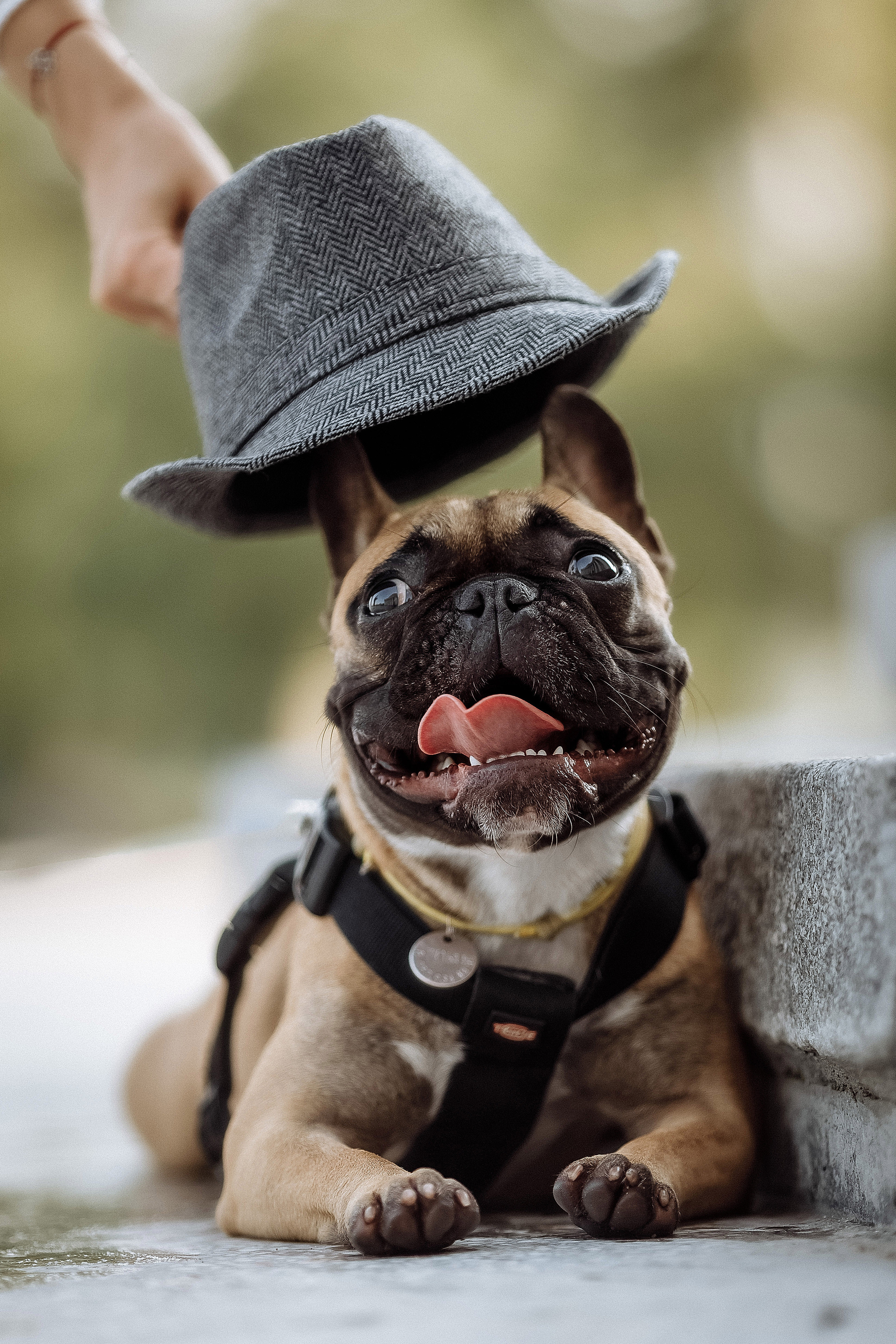 Ваня и Марина. Фотограф на свадьбу корпоратив репортаж Артем Бочаров Москва