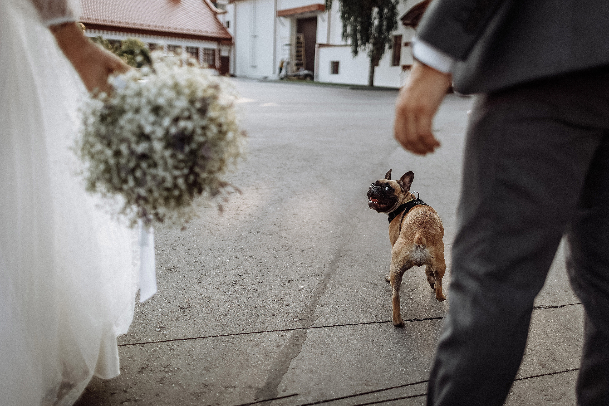 Ваня и Марина. Фотограф на свадьбу корпоратив репортаж Артем Бочаров Москва