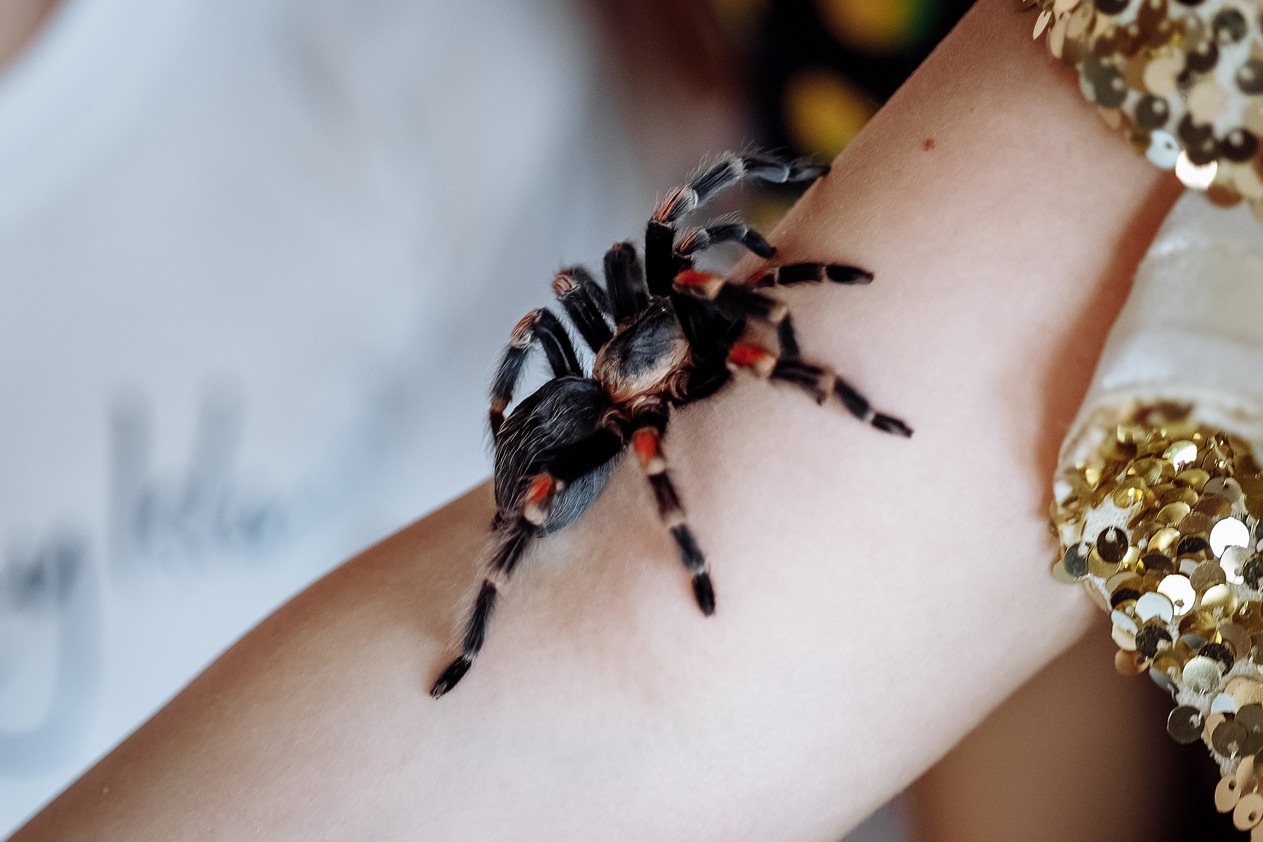 День рождения Серёжи. Фотограф на свадьбу корпоратив репортаж Артем Бочаров Москва