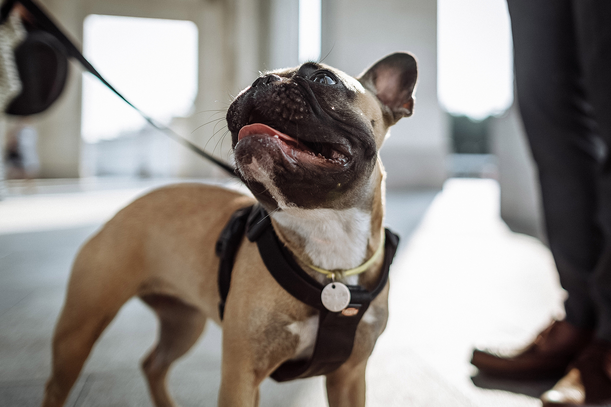 Ваня и Марина. Фотограф на свадьбу корпоратив репортаж Артем Бочаров Москва