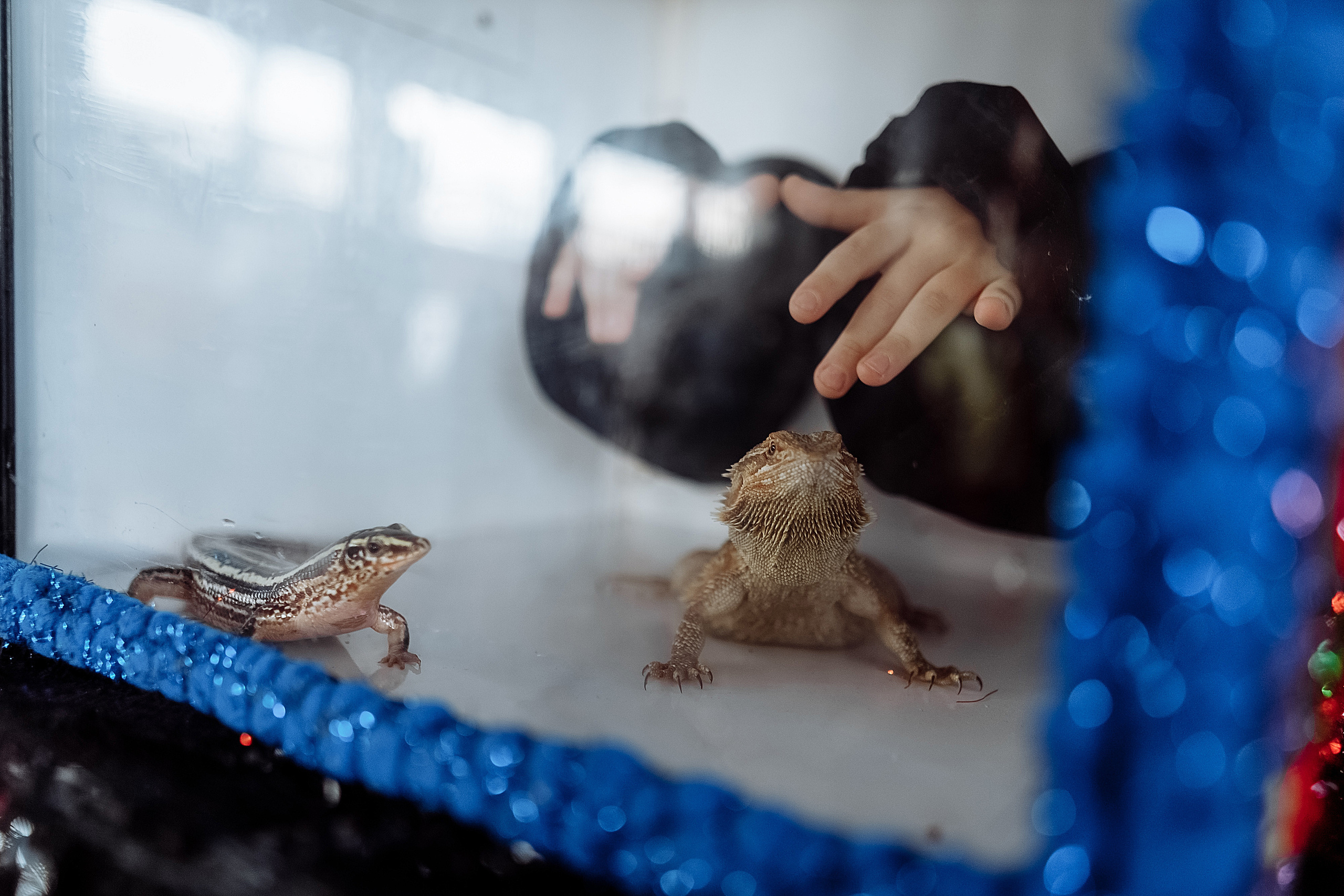День рождения Серёжи. Фотограф на свадьбу корпоратив репортаж Артем Бочаров Москва