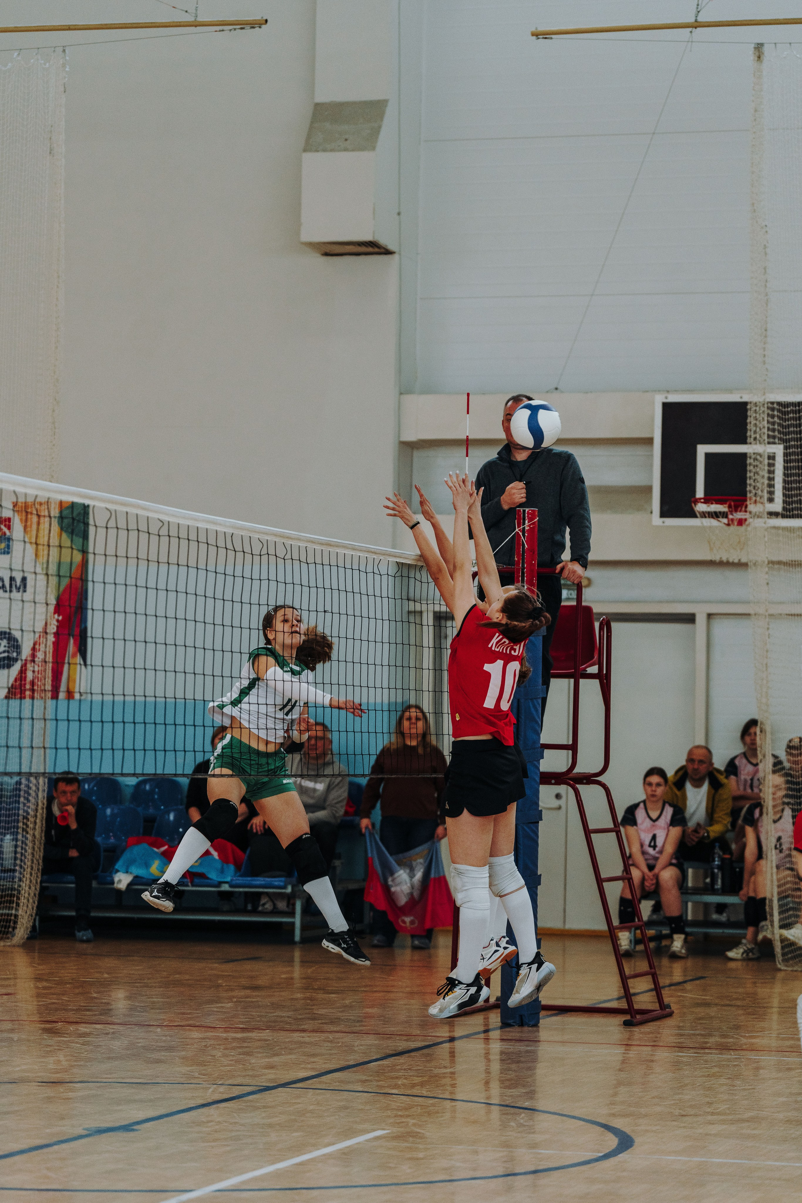 Волейбол торус. Фотограф-анималист в Санкт-Петербурге