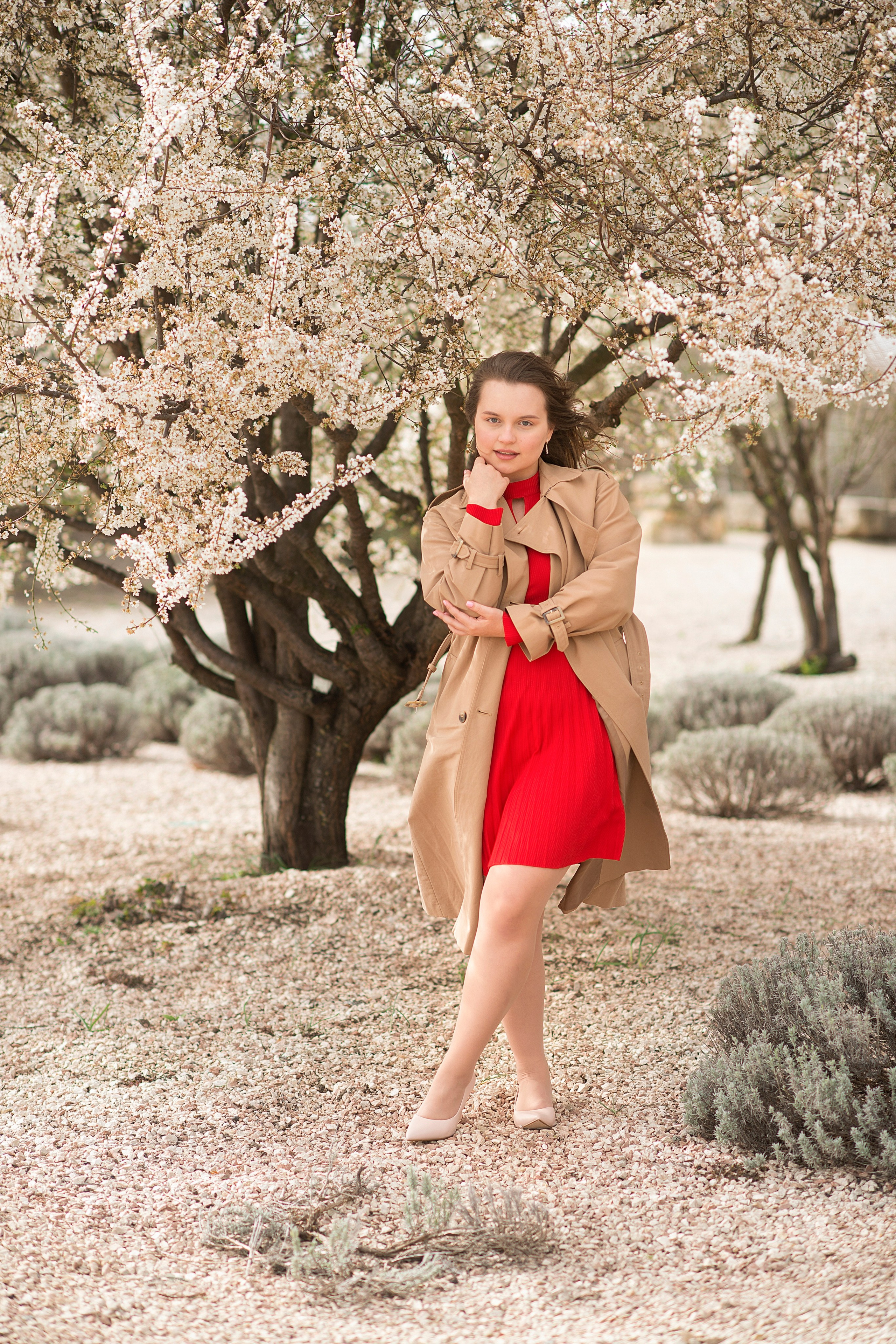 В цветущем миндале. Семейный и детский фотограф в Севастополе. Семейный фотограф в Ялте