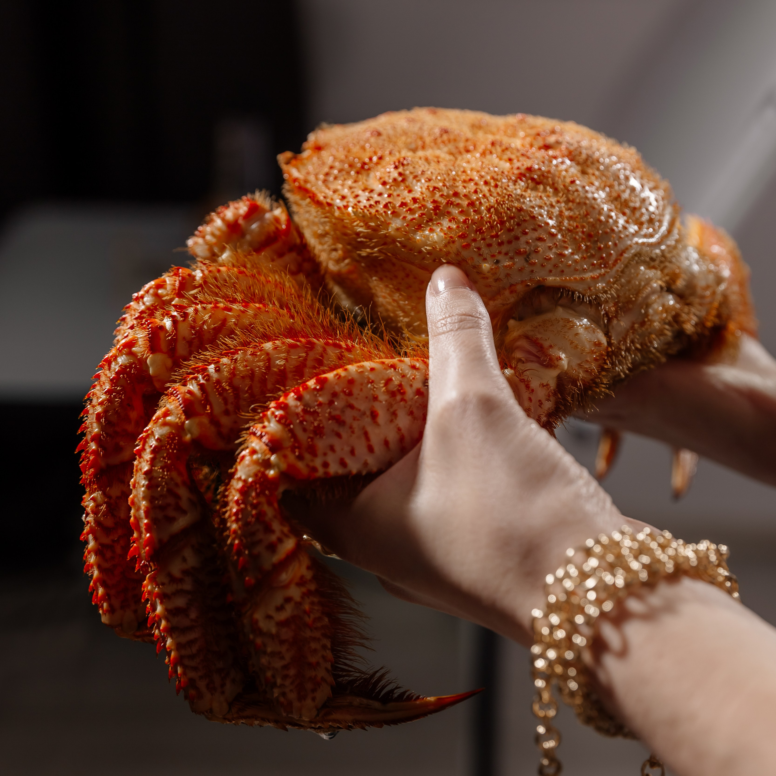 Splash.sea. Профессиональный фотограф Инесса Новикова в Москве