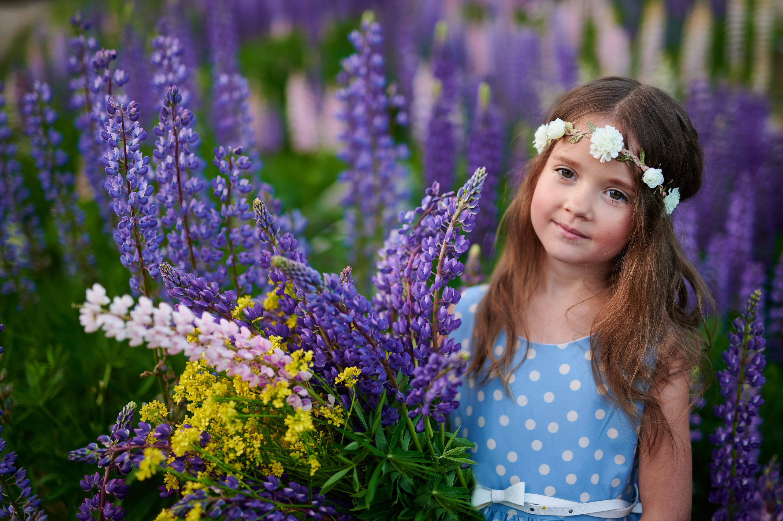 Счастье в люпинах. Портретный, семейный и свадебный фотограф в Санкт-Петербурге и в Пушкине Ширяев Денис