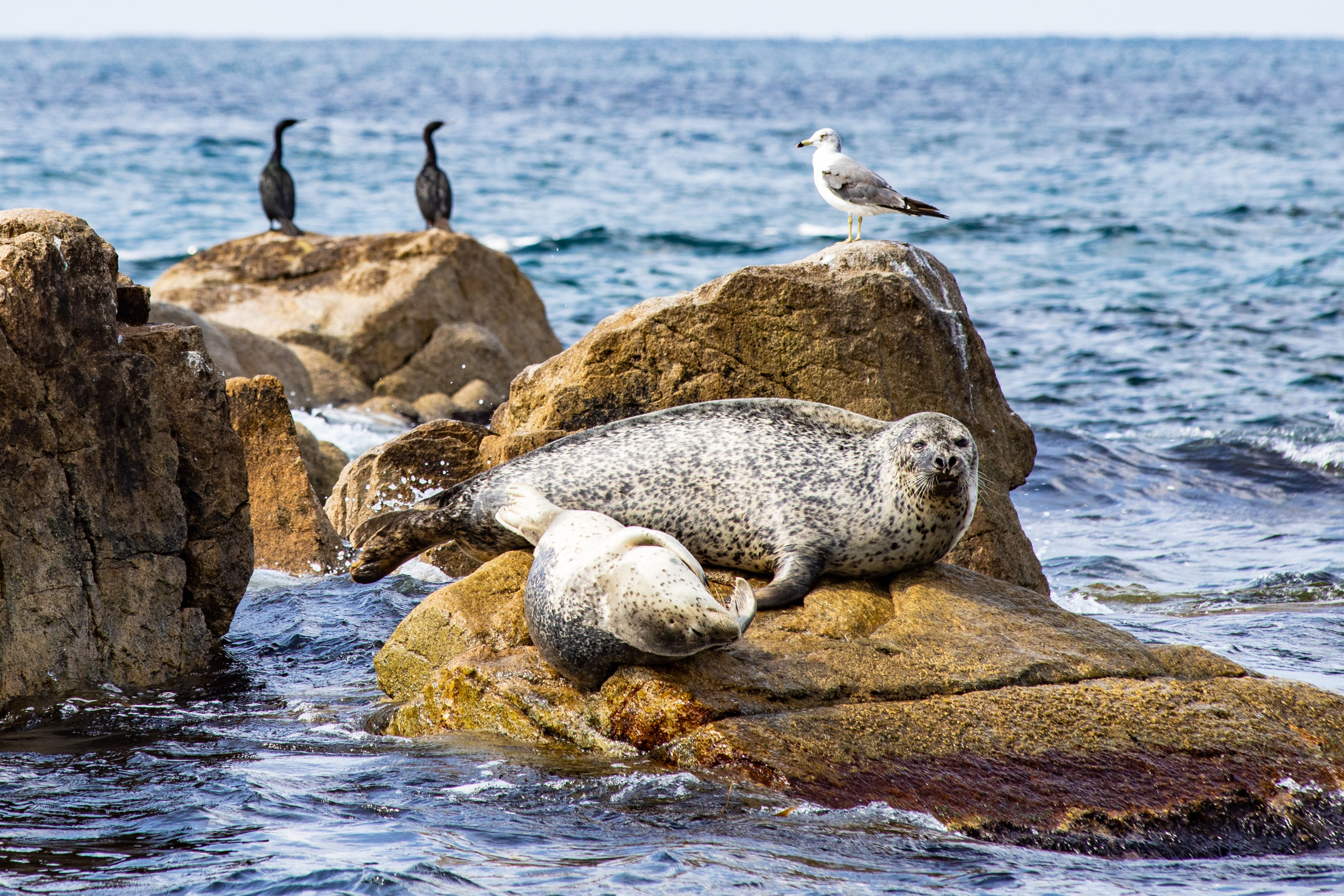 Пейзаж. Репортажный Фотограф во Владивостоке и России Осипчук Дмитрий