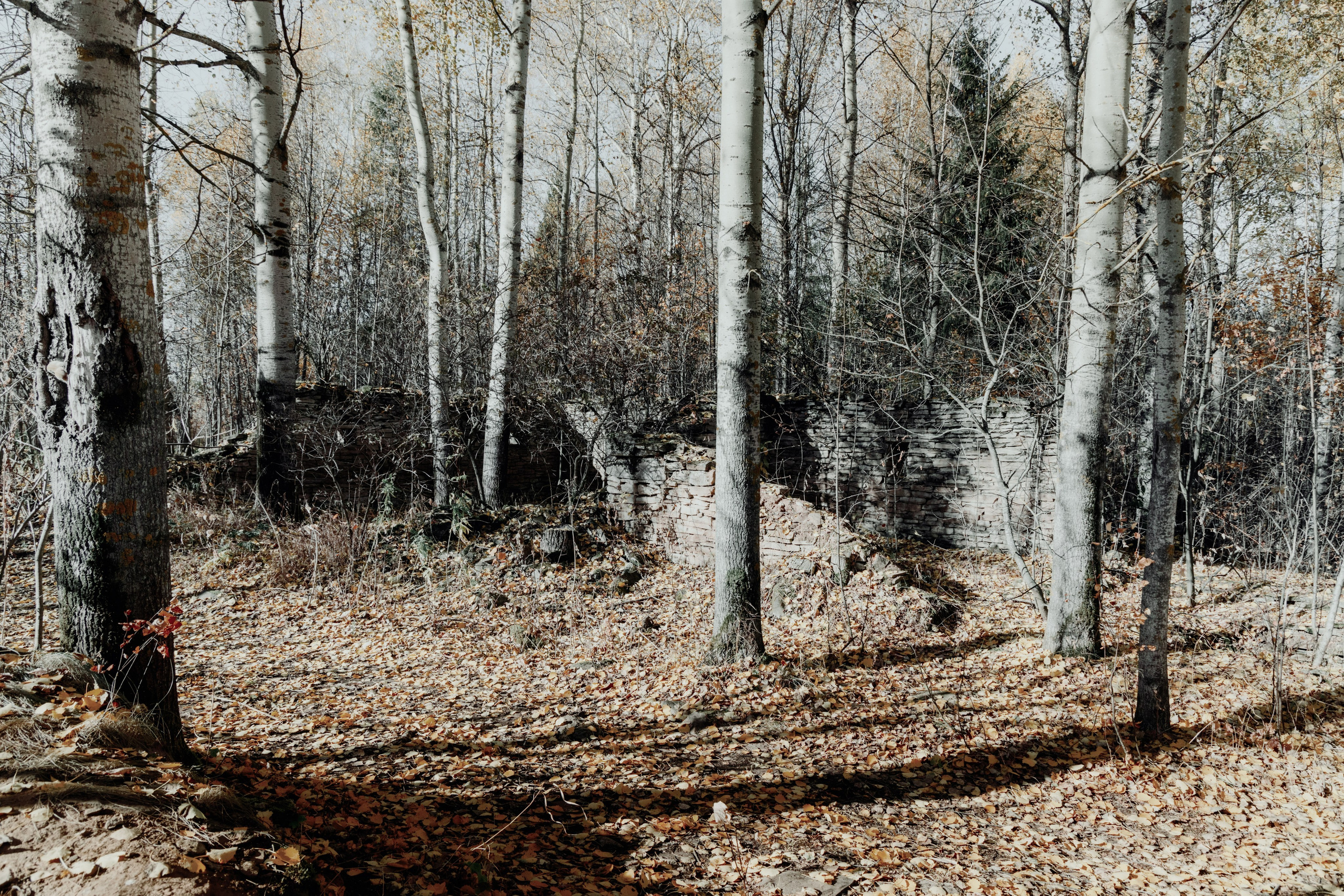 Природа. Фотограф Александр Тихонов