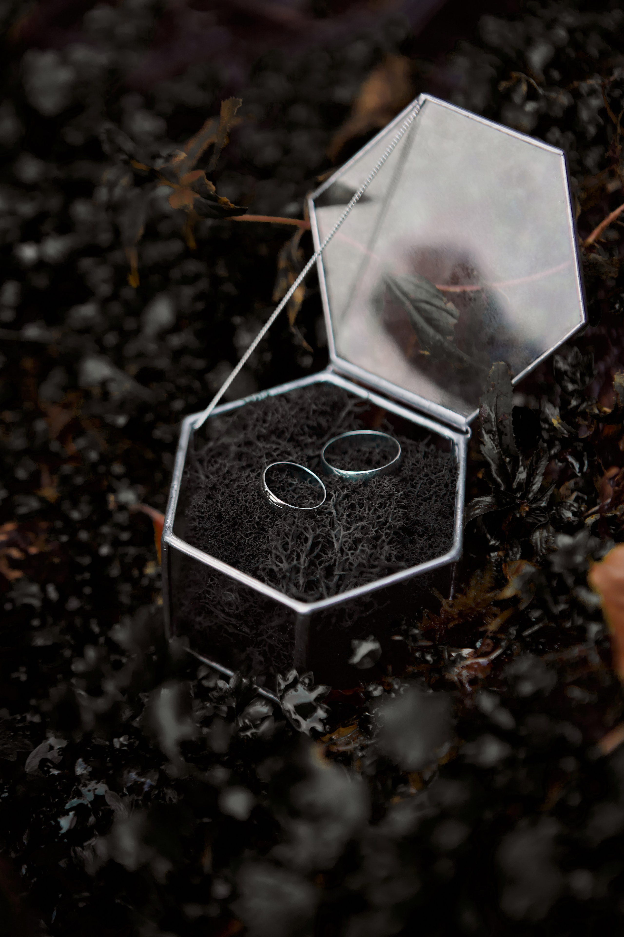 Свадебная фотосессия в горах. Свадебный и семейный фотограф в Сочи-Красной поляне Ларионова Анна