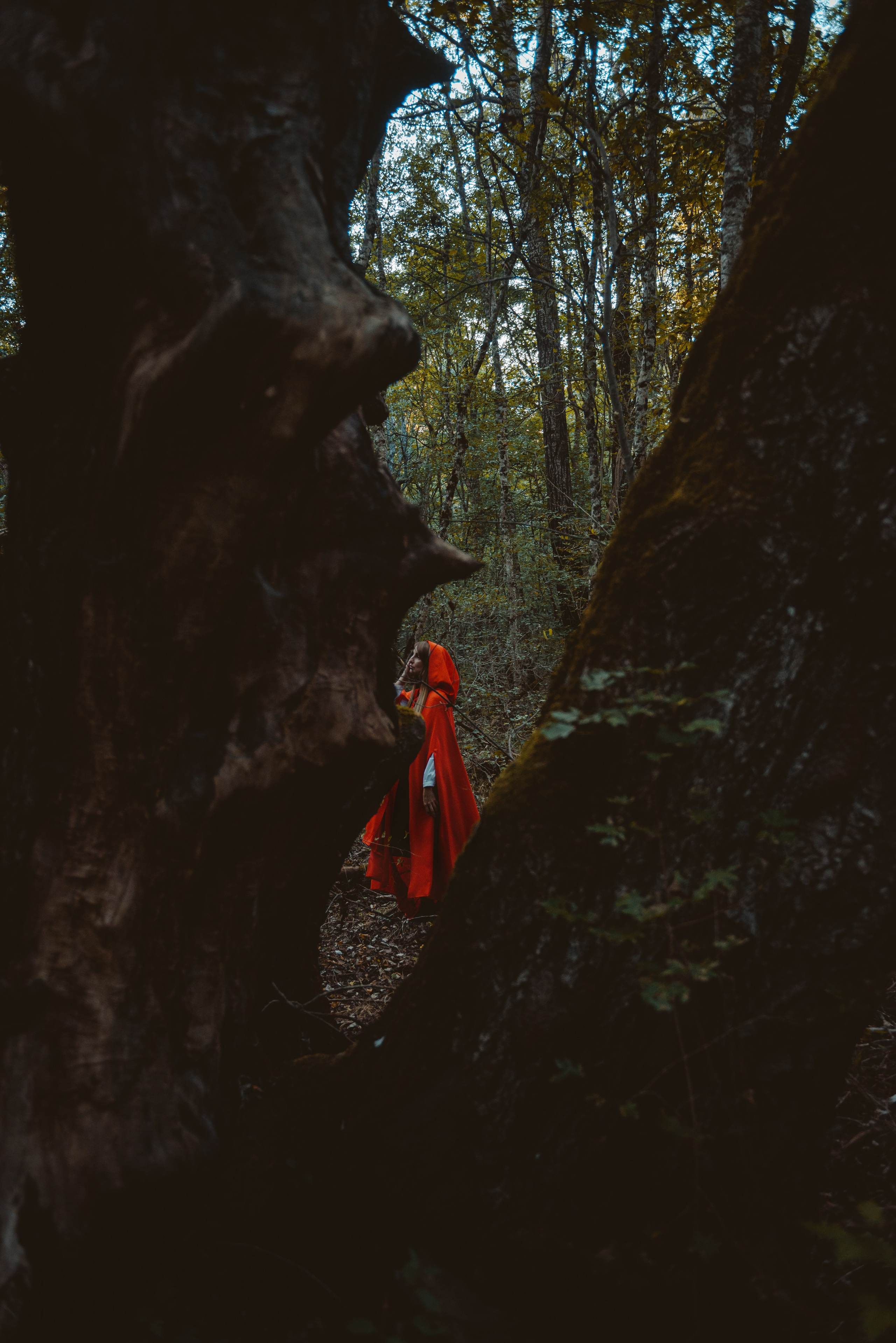 Фотосессия в горячем ключе. Свадебный фотограф в Горячем Ключе Смирнова Дина