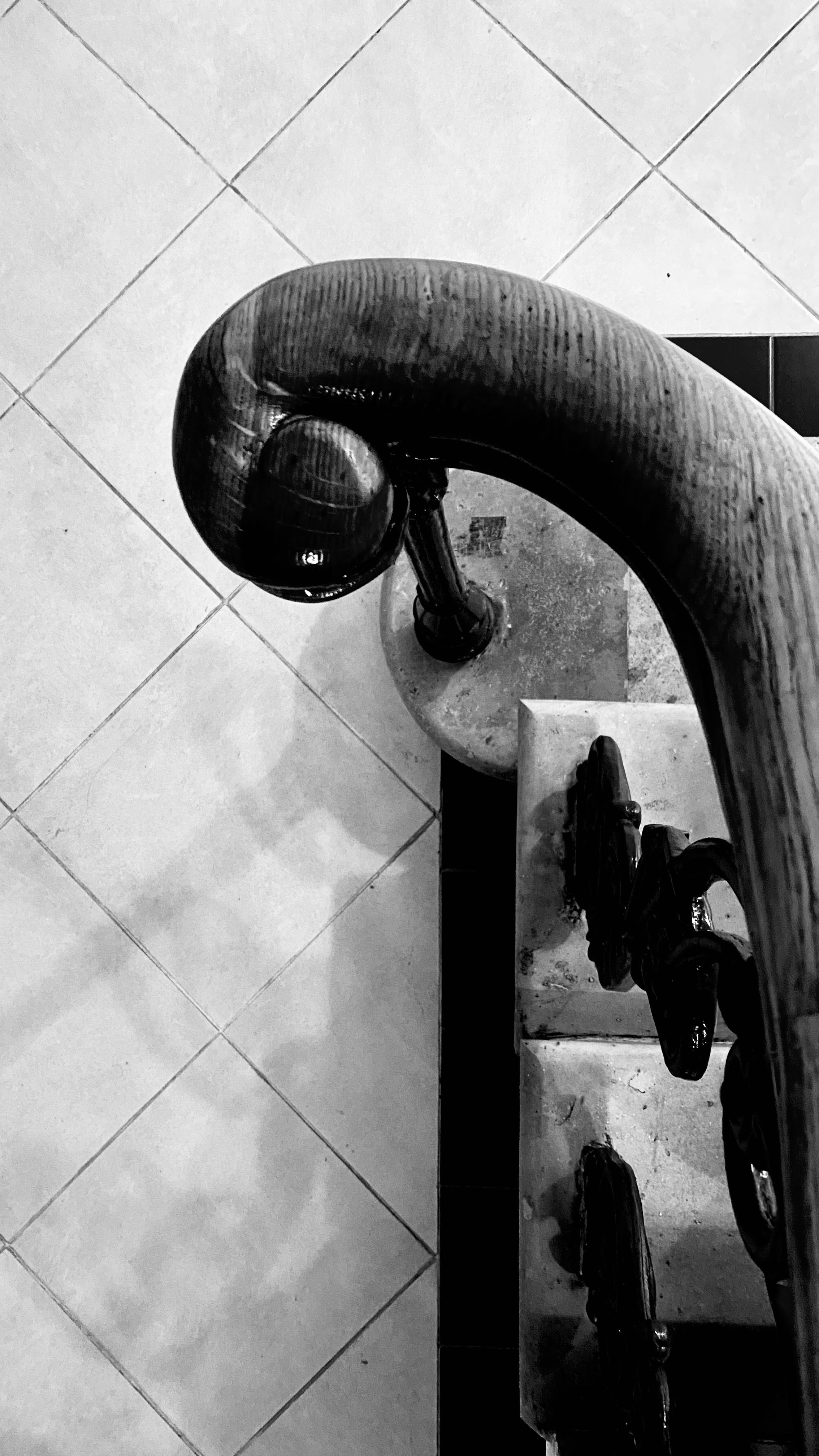 Мобильное фото. Фотограф в Москве Айгуль Евграфова