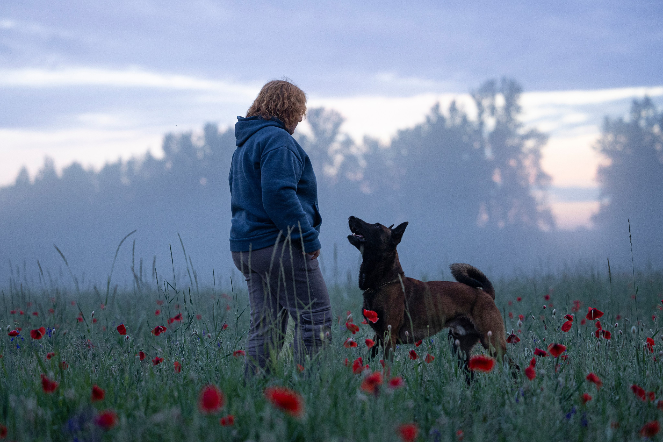 Маковое поле. Фотограф-анималист Анна Маринич