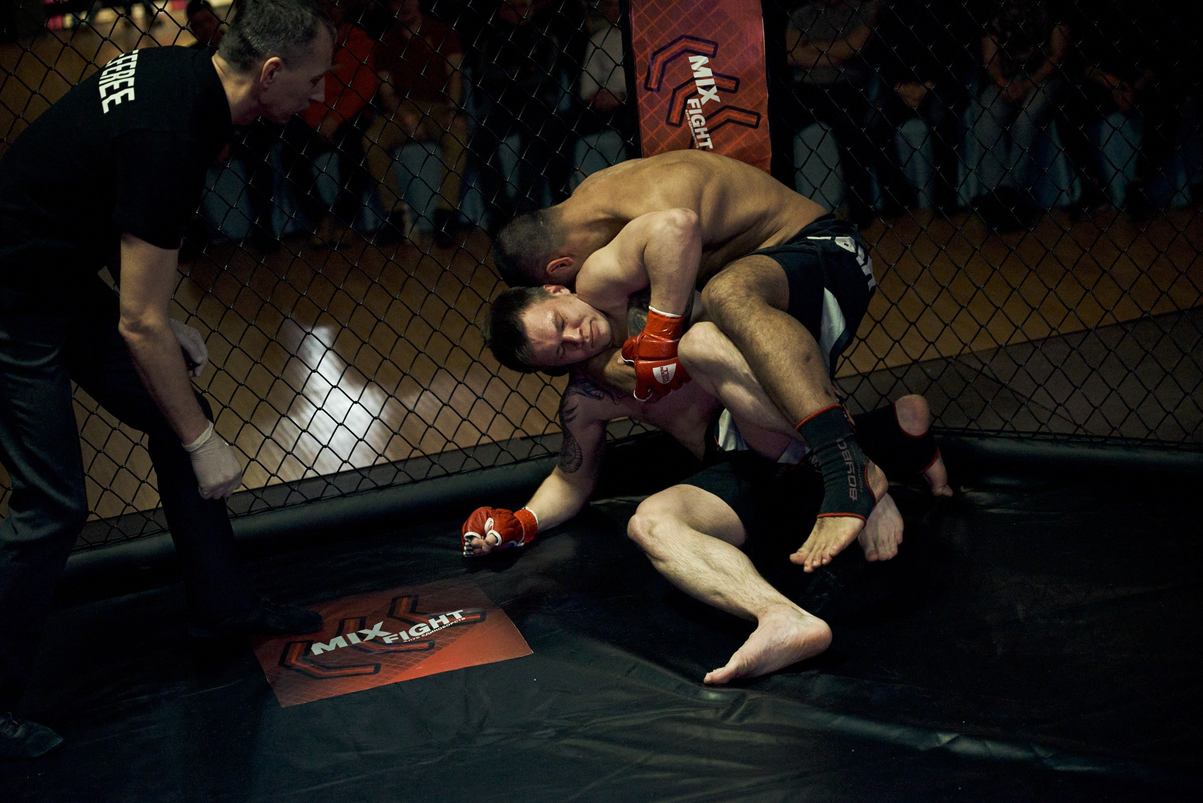 Бои. Маляревич Дмитрий свадебный фотограф