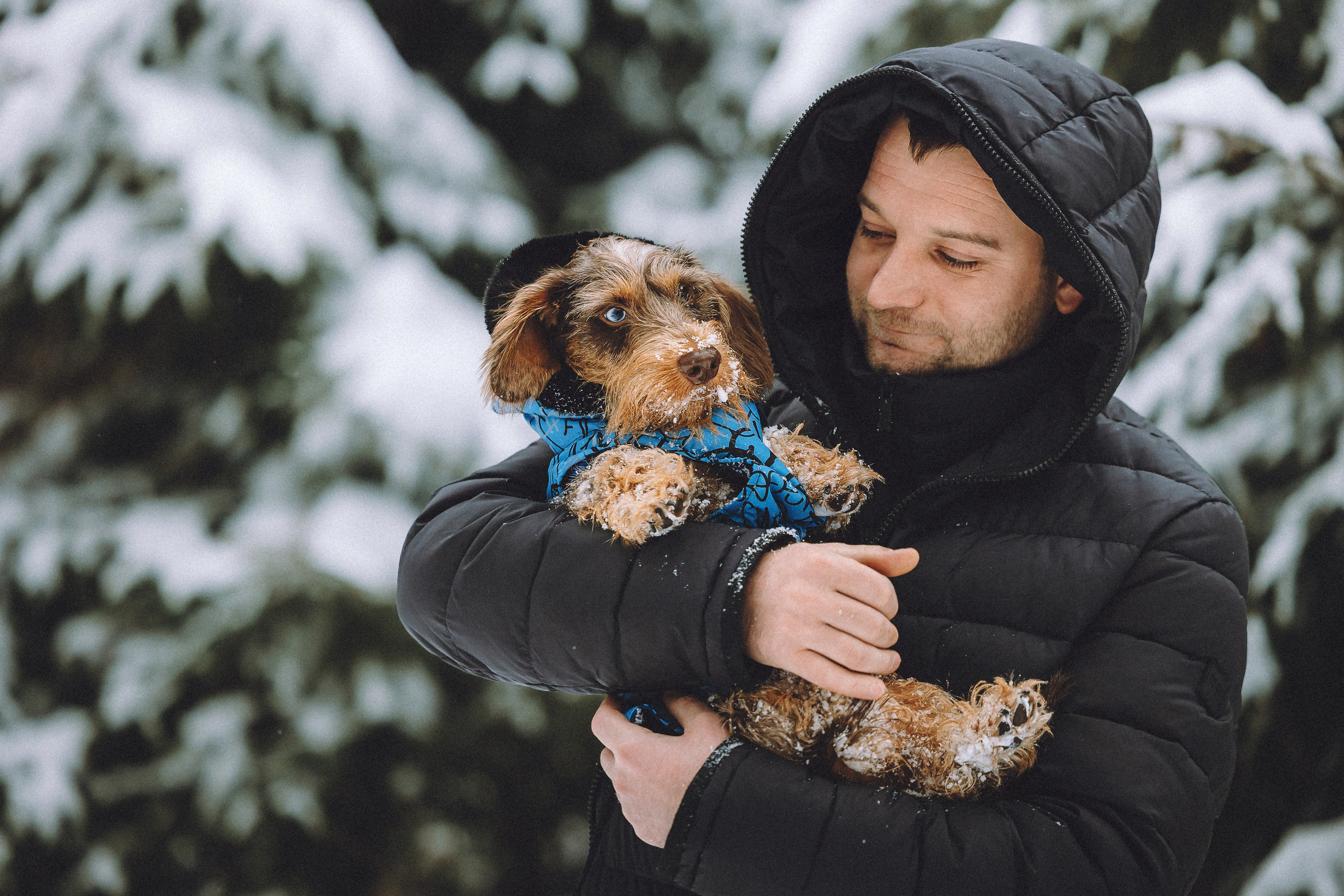 Каспер и его семья