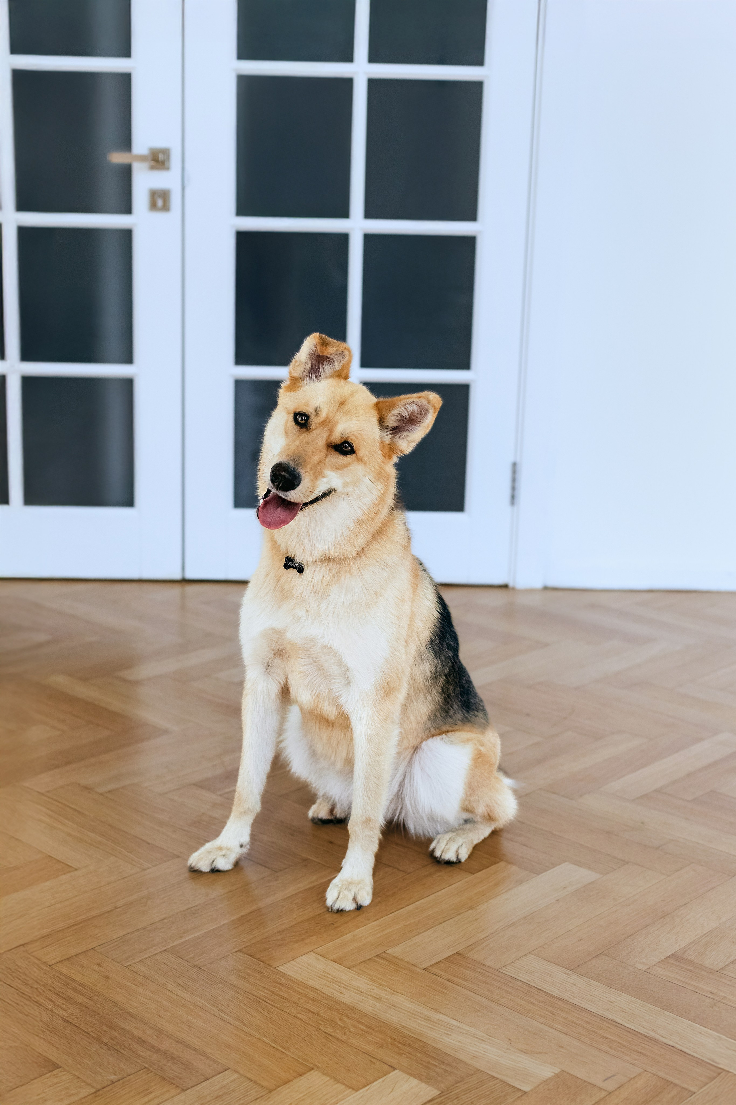 Студия лето 2025. Фотограф-анималист Татьяна Степанова