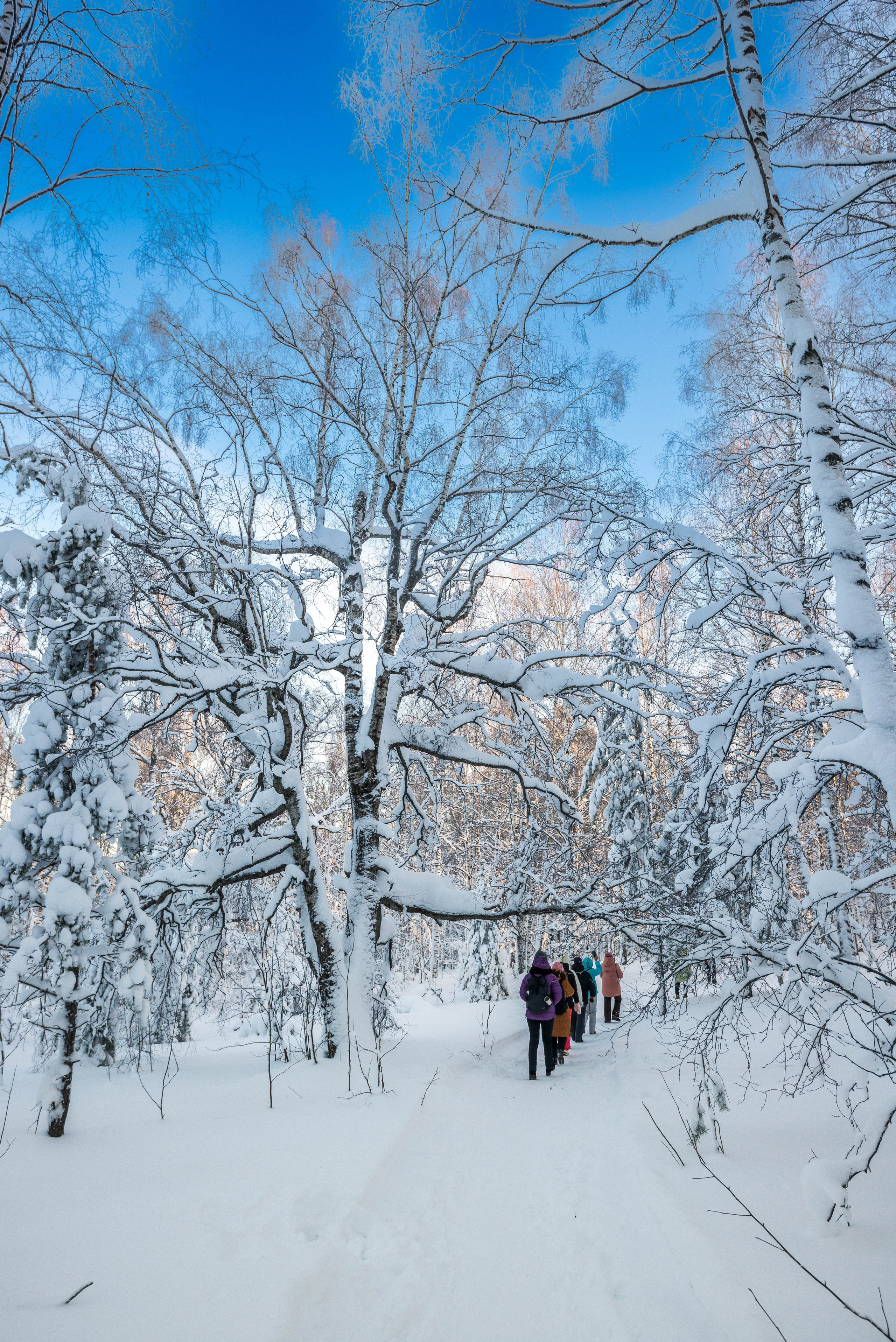 Таганай Семибратка, Парк Бажова, ледяной фонтан 06.01.2024. Свадебный фотограф на Урале Виктор Соколов