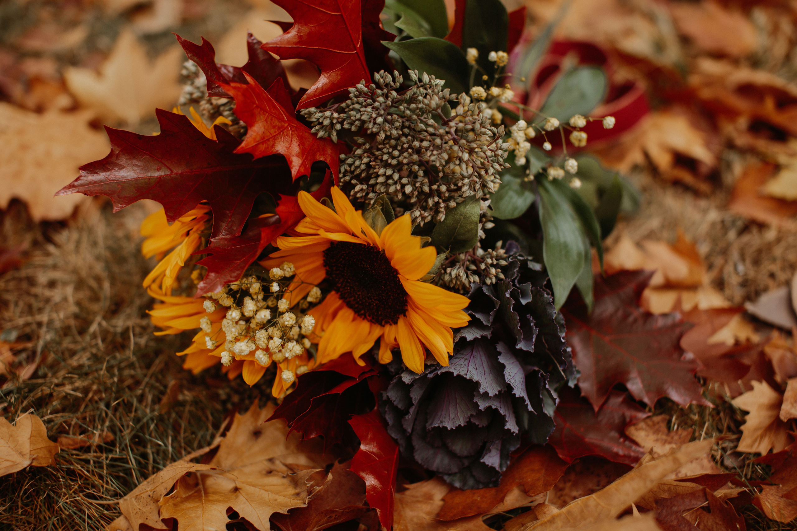 Осень…. Свадебный и семейный фотограф/видеограф в Краснодаре Наталья Осинская