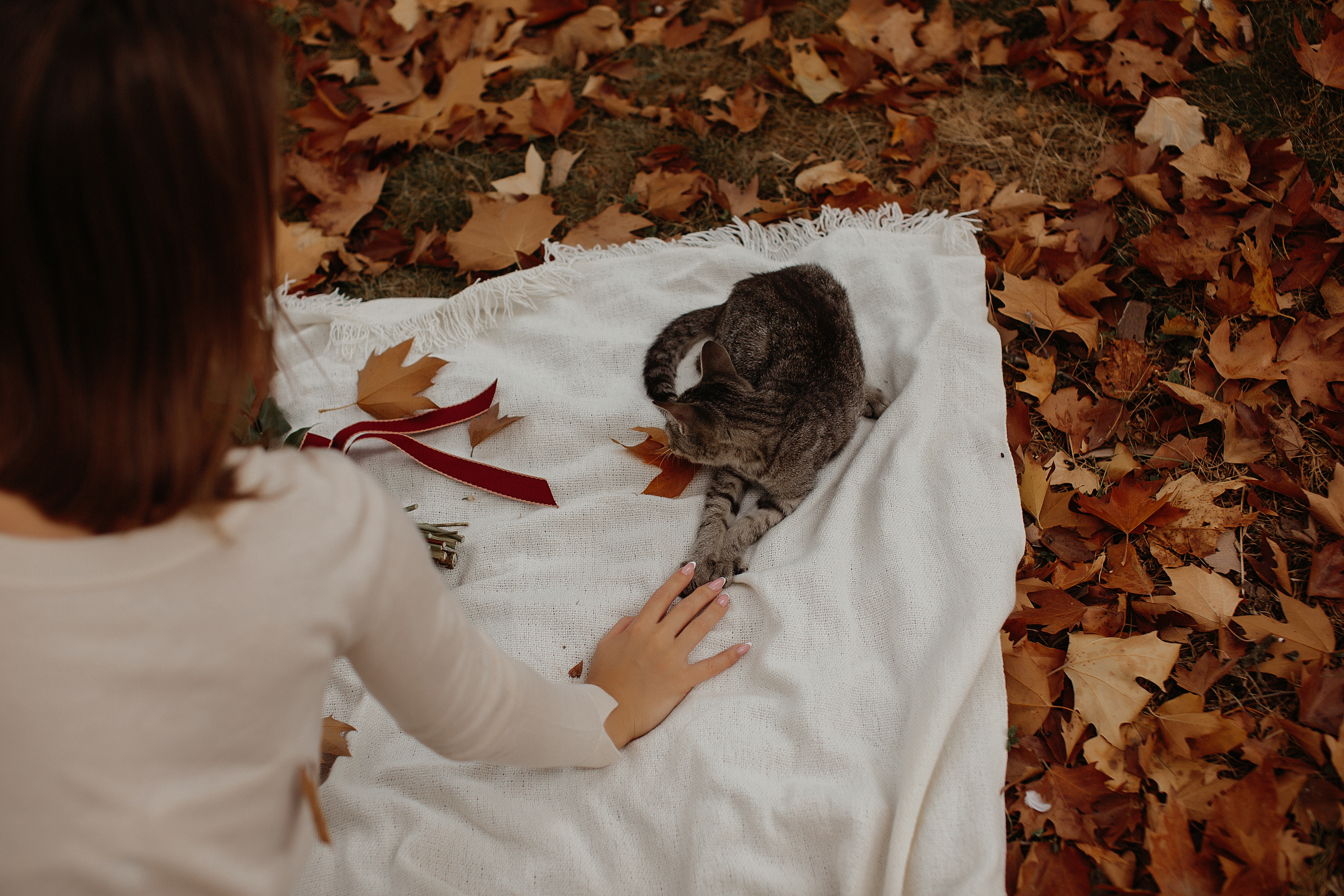 Осень…. Свадебный и семейный фотограф/видеограф в Краснодаре Наталья Осинская
