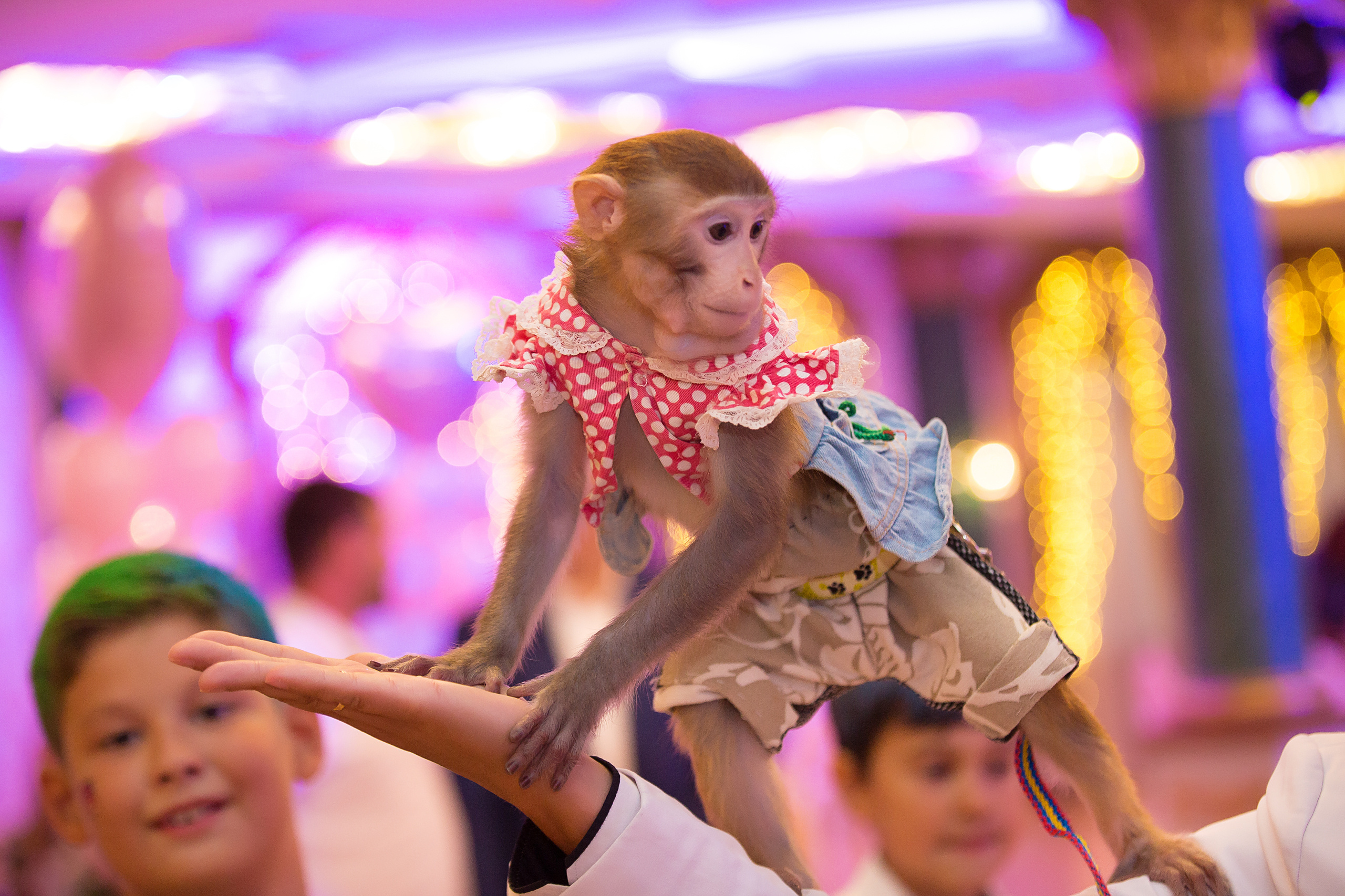 День рождения Виктории!. Свадебный и семейный фотограф/видеограф в Краснодаре Наталья Осинская