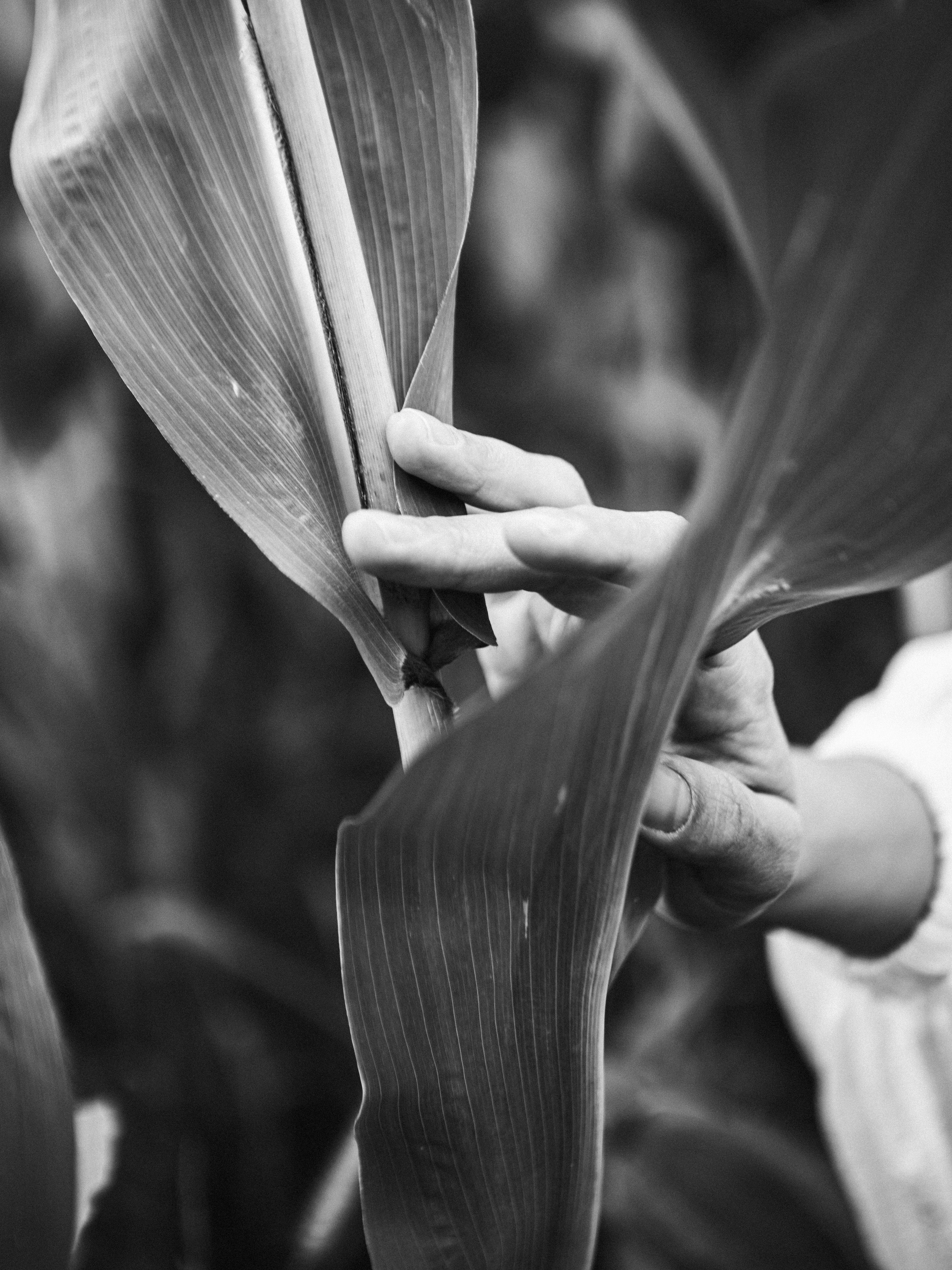 Лера. Главная