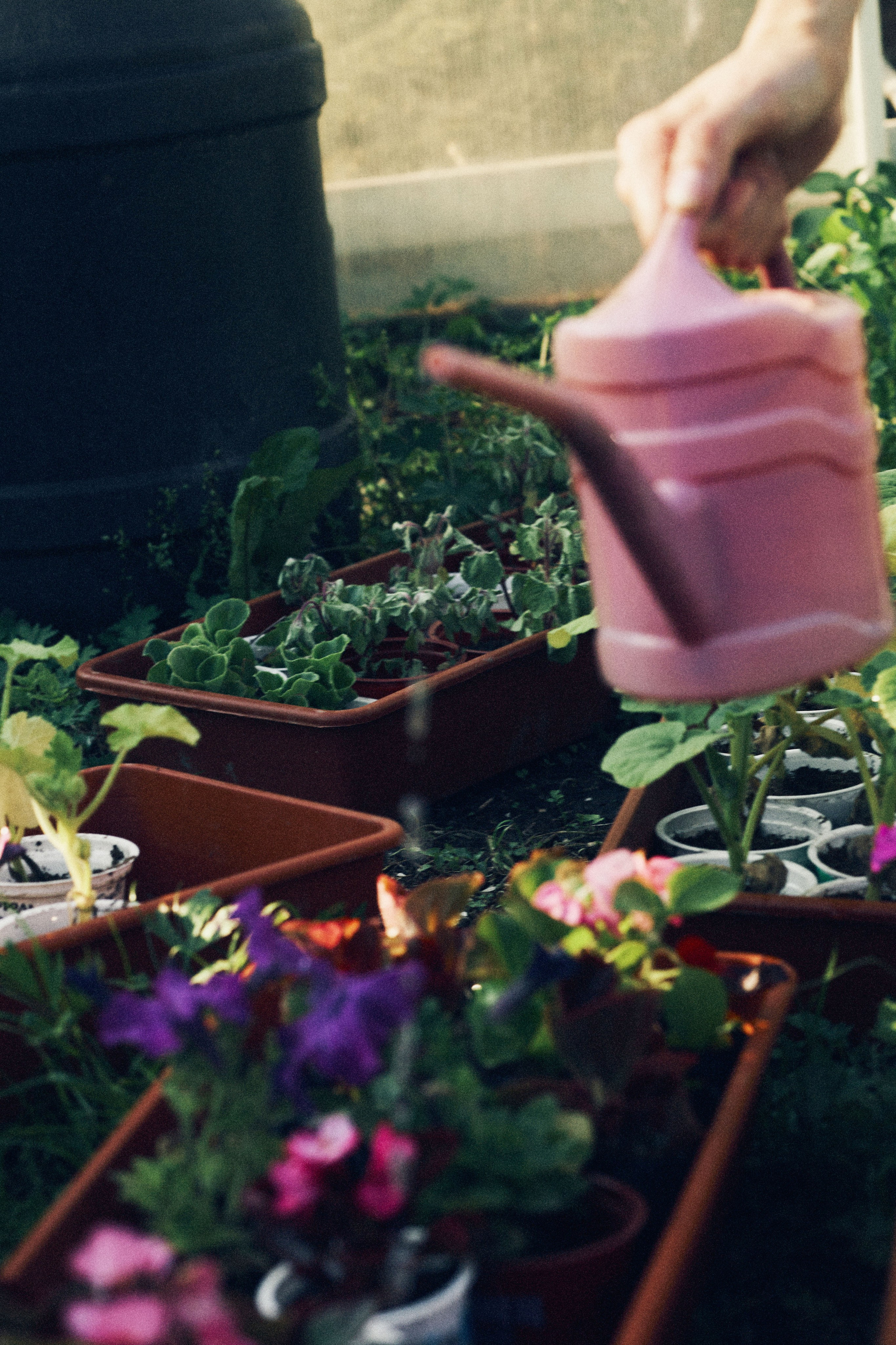 Портфолио. Edomaphoto.ru