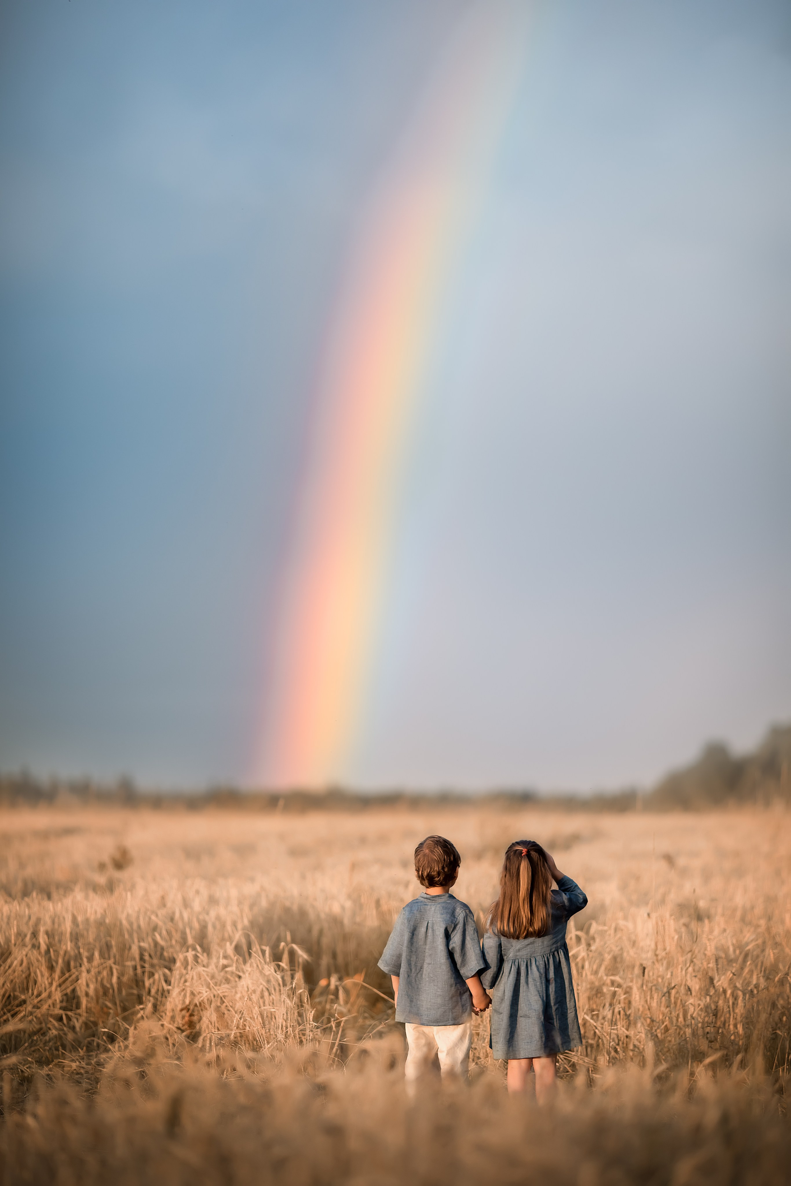 Колоски. Главная