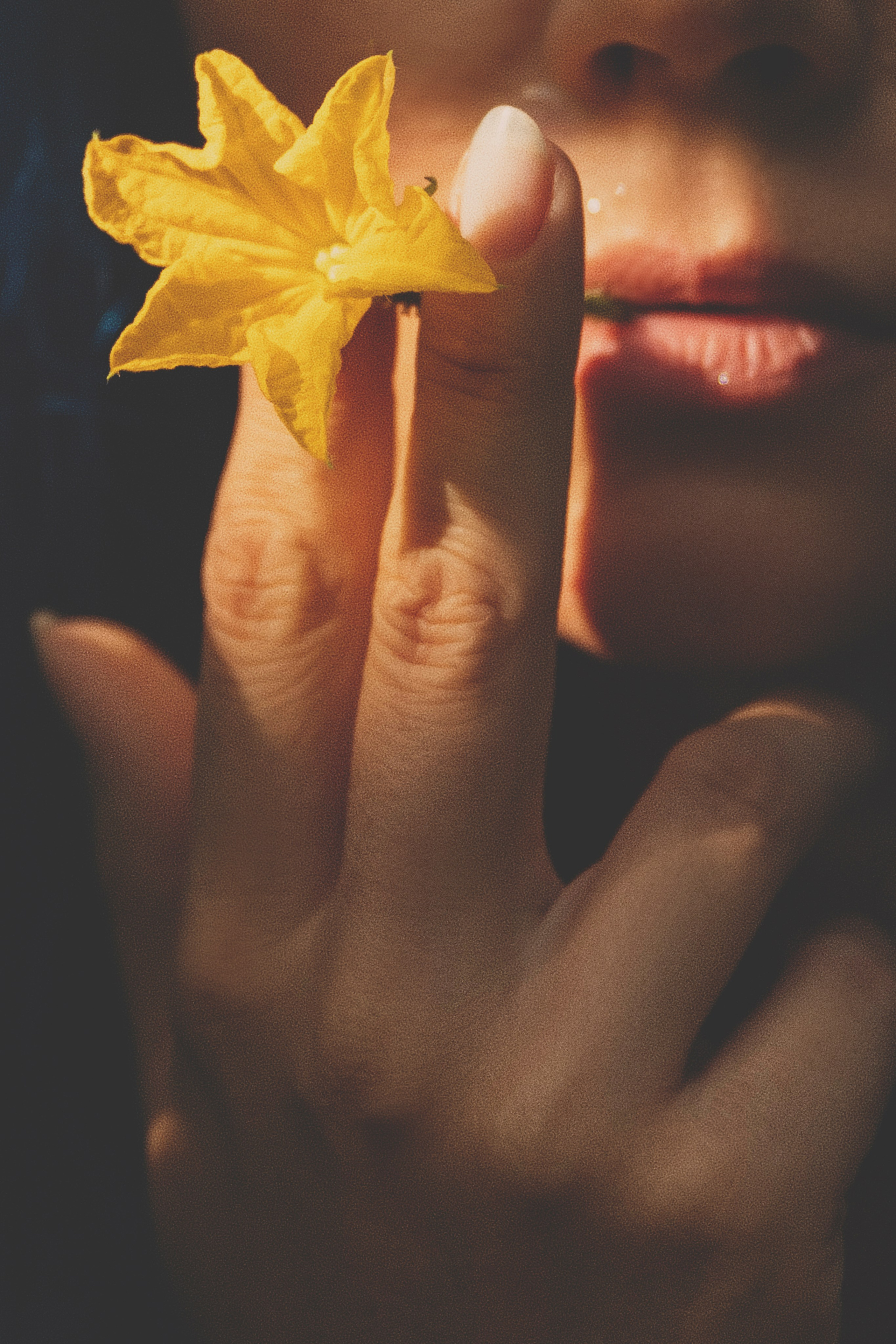 Вероника. Свадебный и семейный фотограф Колоскова Мария (Сочи и весь мир)