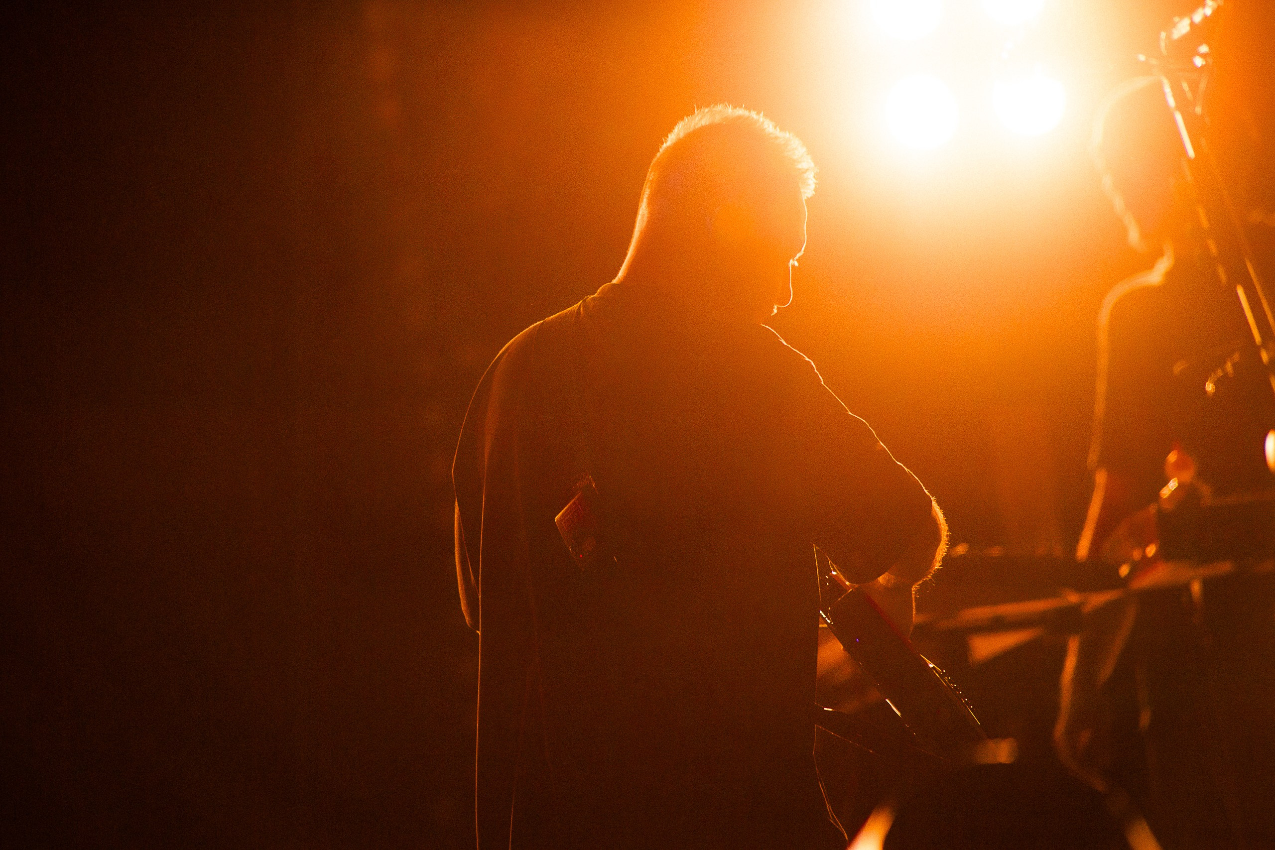 Звери 2025. Репортажный фотограф в Кемерово