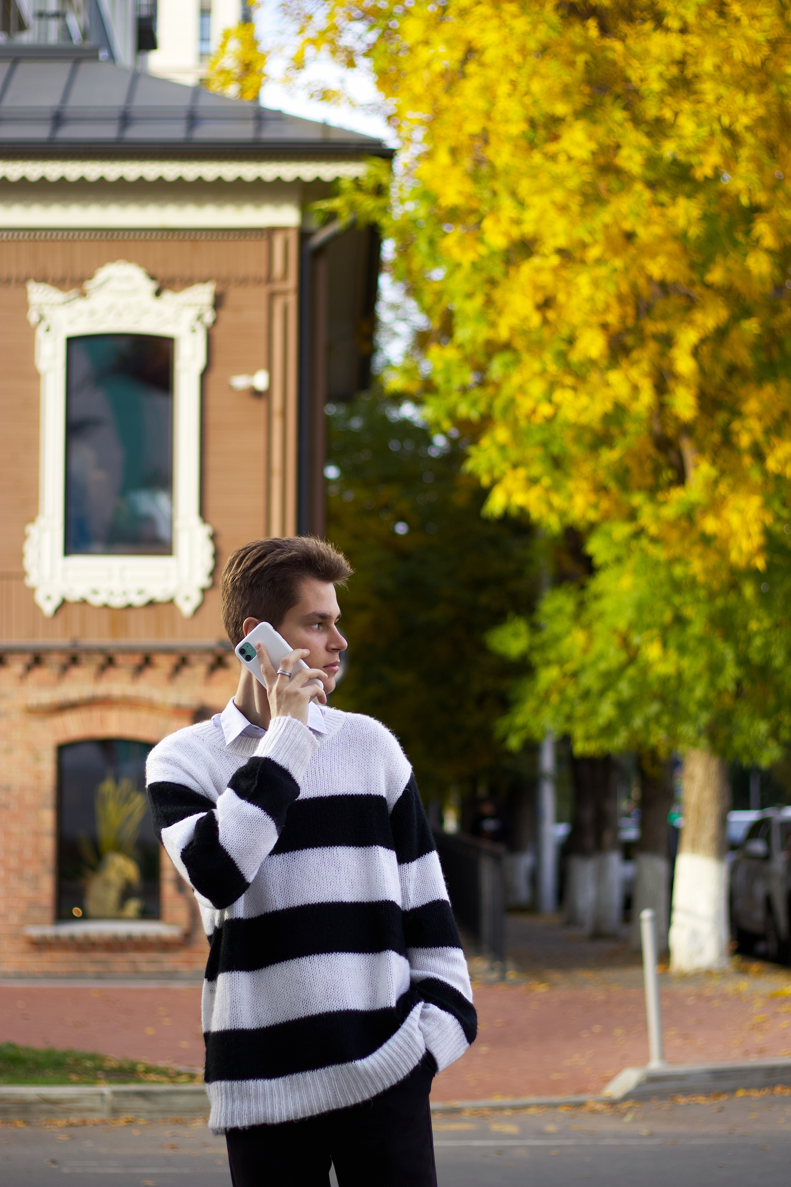 Портрет. Pupov.png