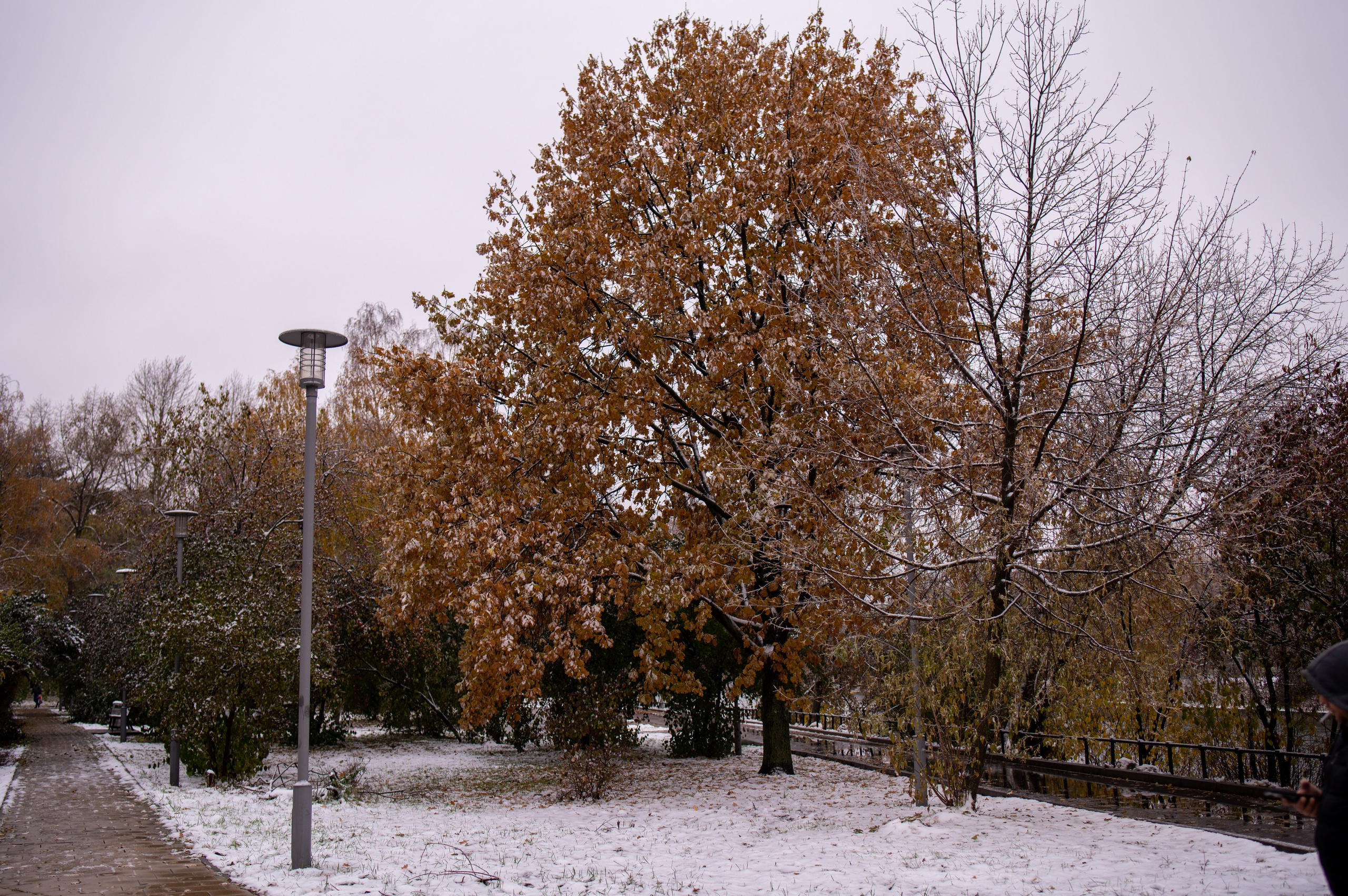 20231030 Тест Tamron SP 35 mm F/1.8. Дмитрий Ремизов. Фотография, как хобби