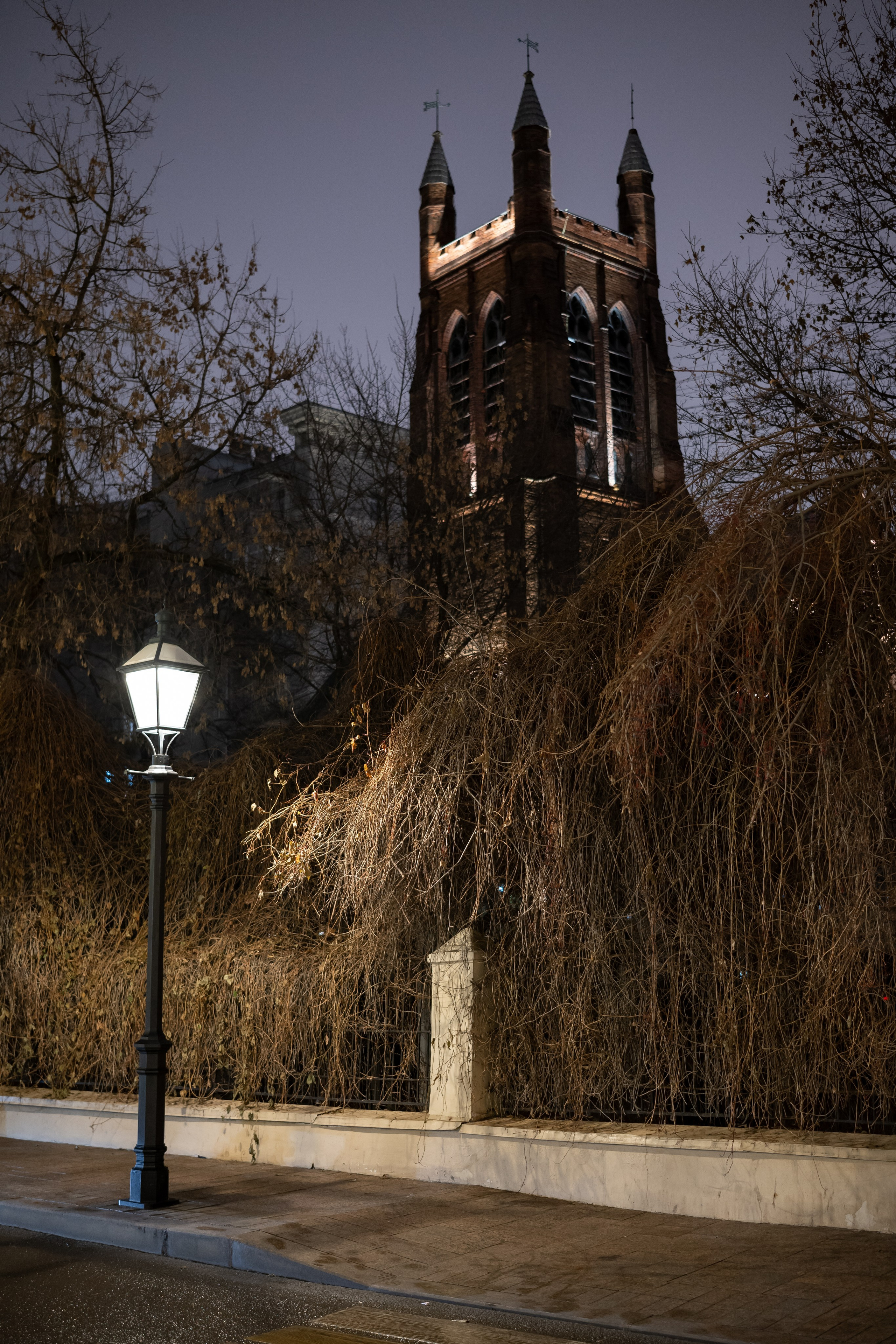 20241201 от Чеховской до Арбатской. Дмитрий Ремизов. Фотография, как хобби