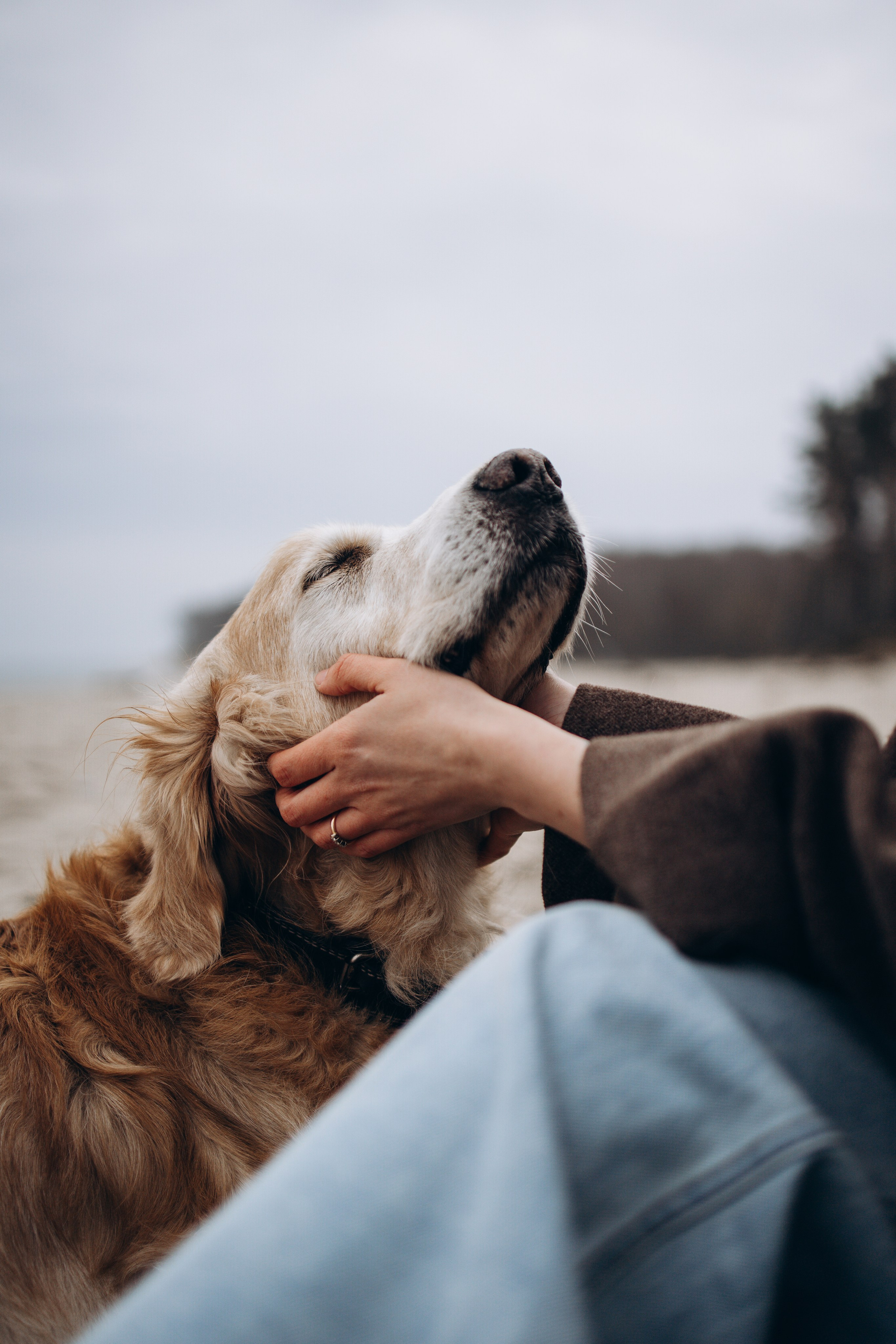 Юля и Максик. Фотограф — Анималист | Санкт-Петербург