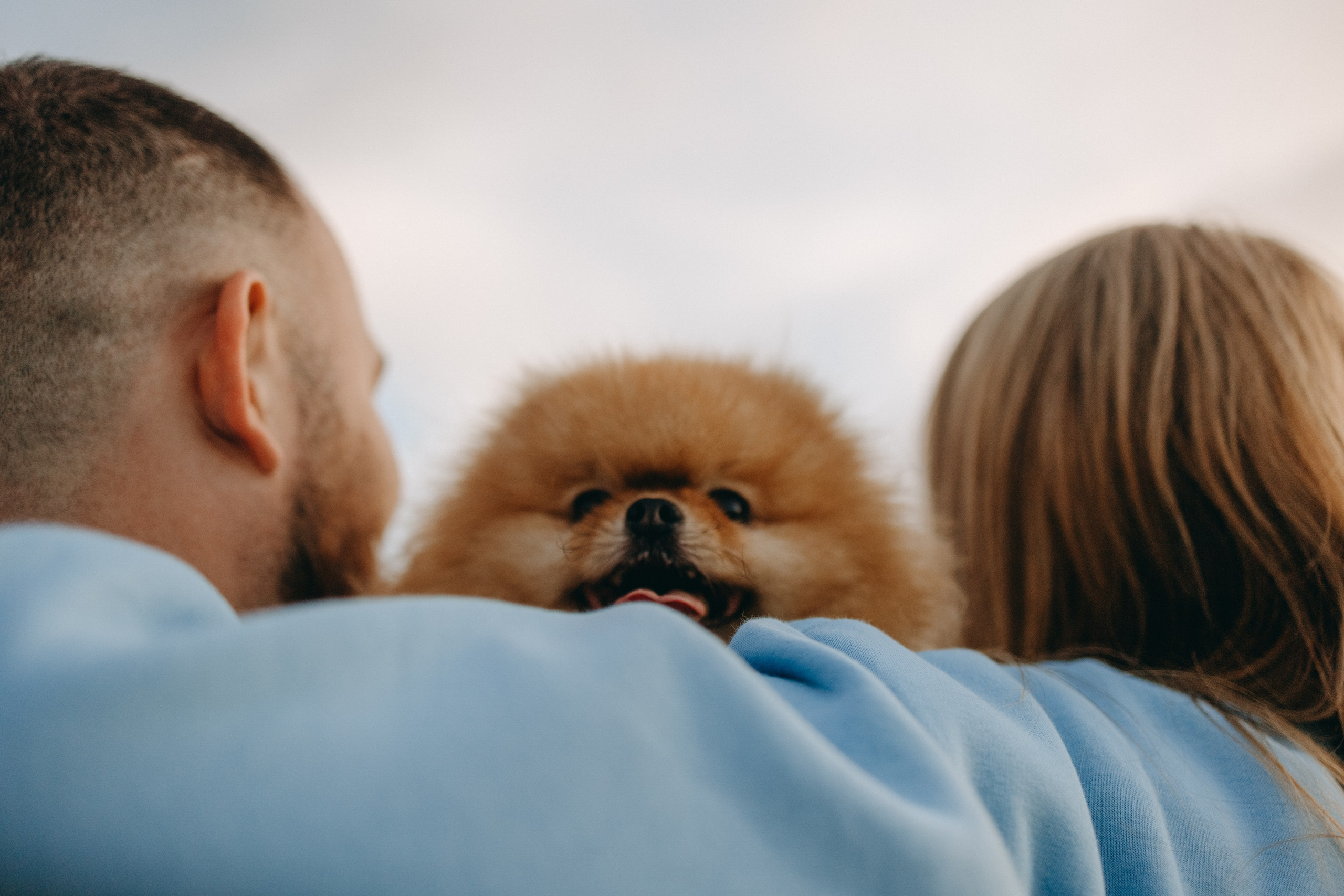 Стив и его семья. Фотограф — Анималист | Санкт-Петербург