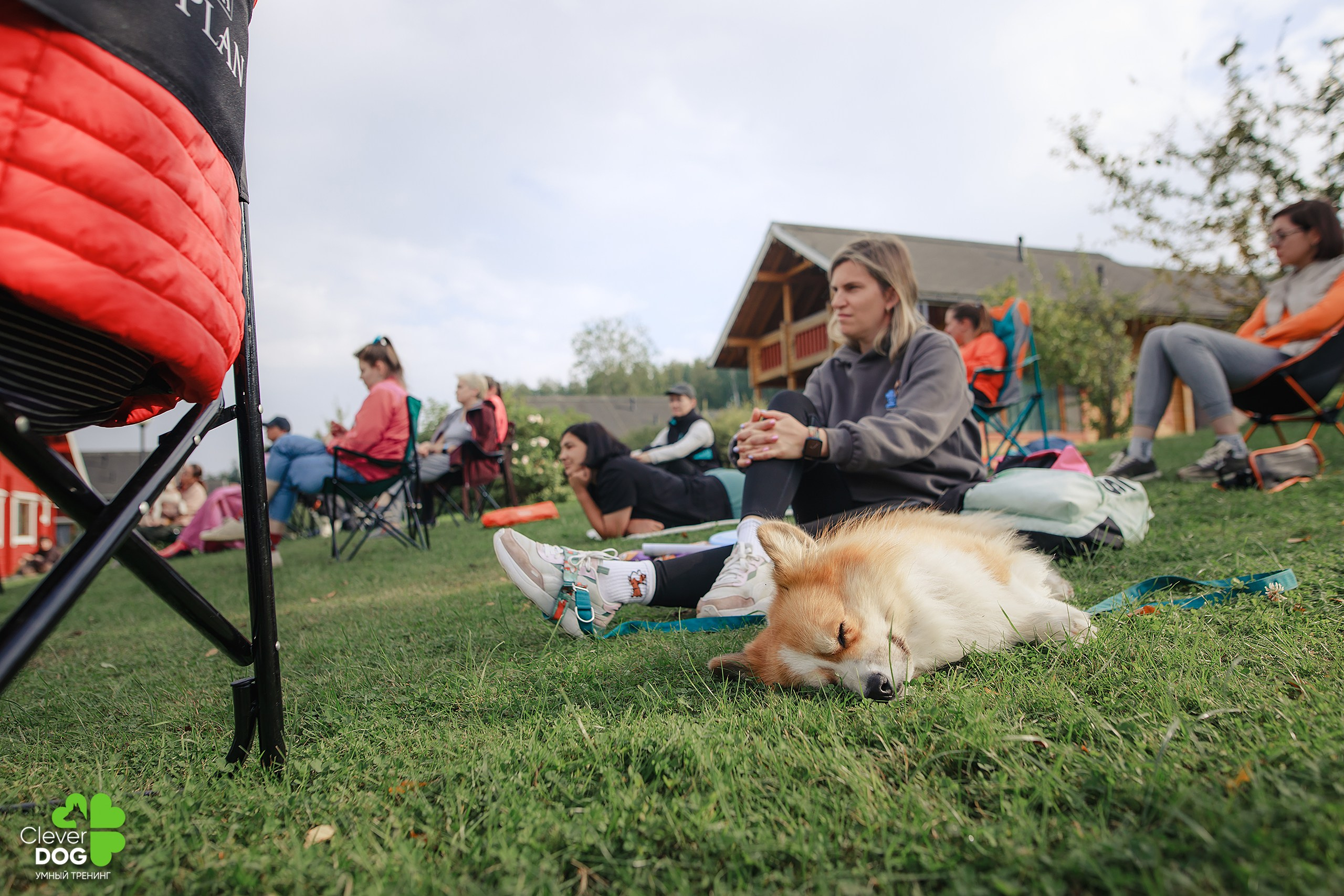 Кинологический лагерь CleverDog, 2024. Фотограф-анималист Mary Mart — Москва, Питер