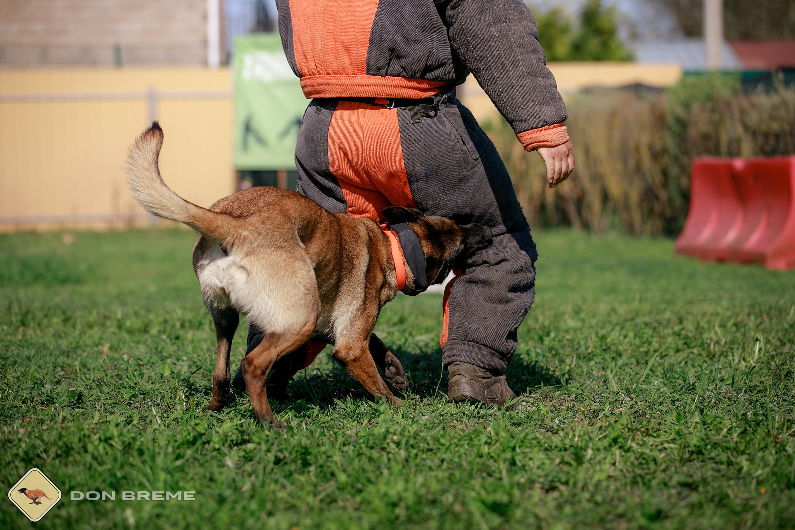 Семинар для фигурантов, день 4. Фотограф-анималист Mary Mart — Москва, Питер