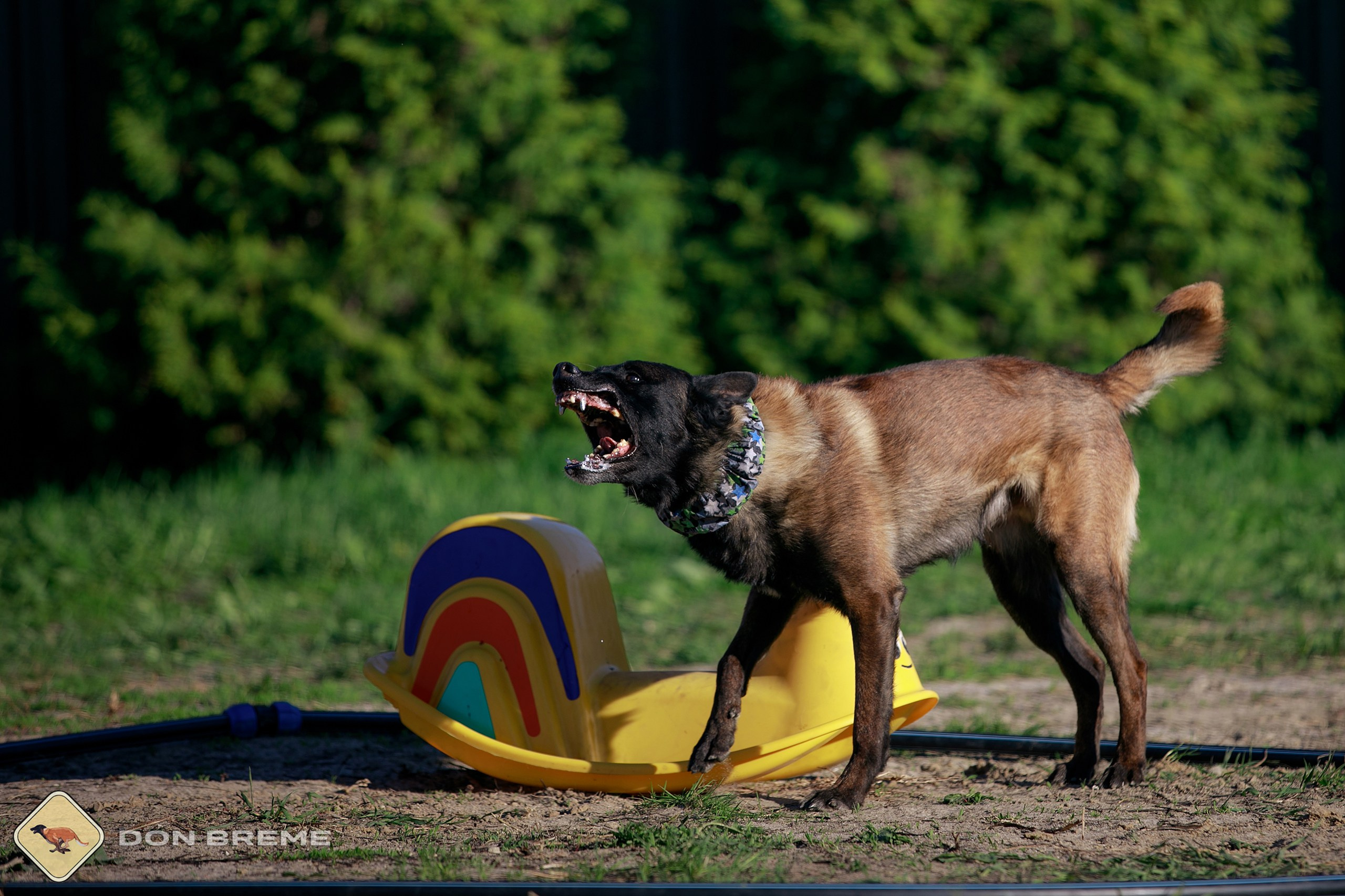 Семинар для фигурантов, день 3. Фотограф-анималист Mary Mart — Москва, Питер
