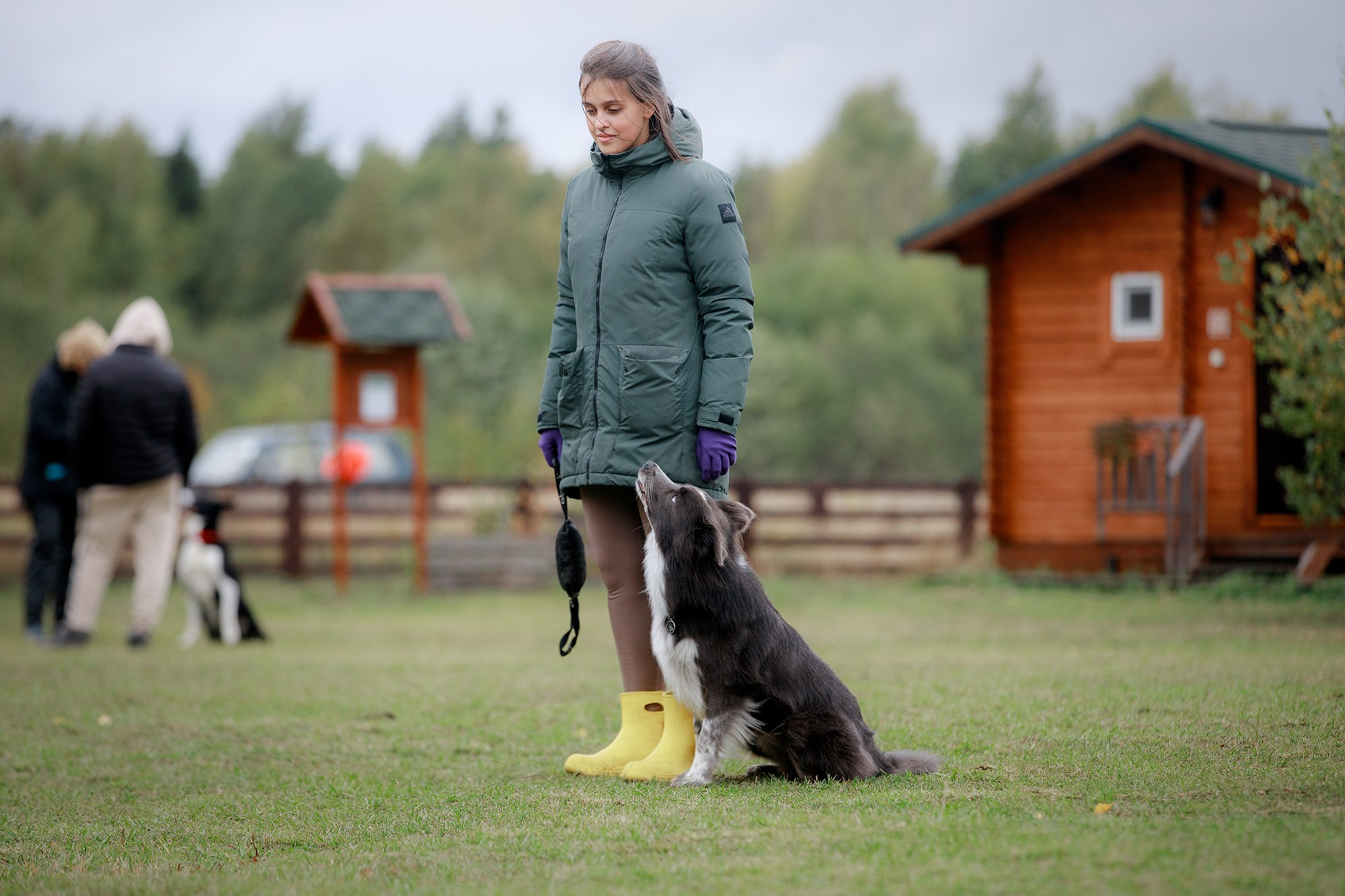 Лагерь по ОБД с Инной Баженовой. Фотограф-анималист Mary Mart — Москва, Питер