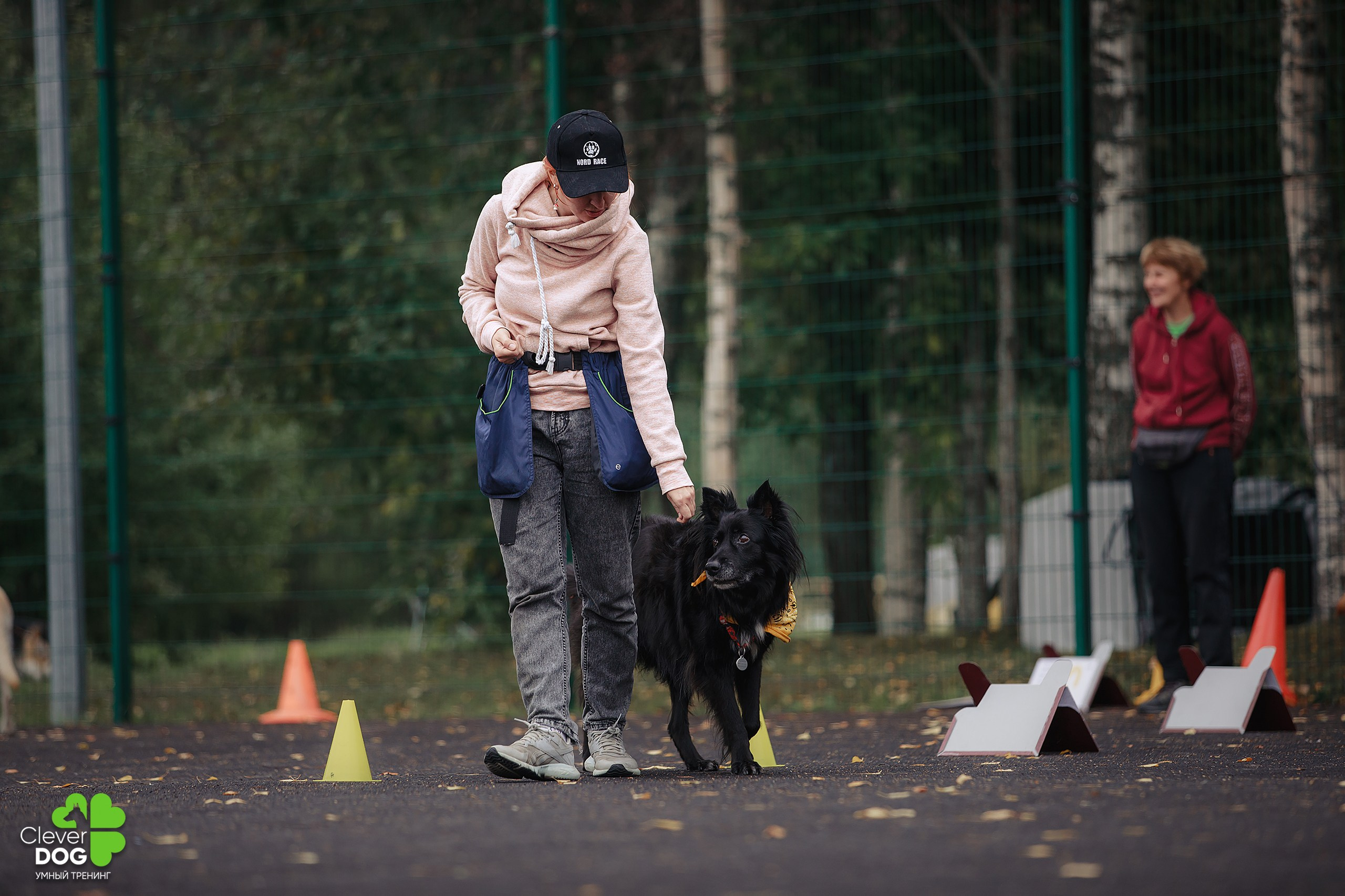 Кинологический лагерь CleverDog, 2024. Фотограф-анималист Mary Mart — Москва, Питер