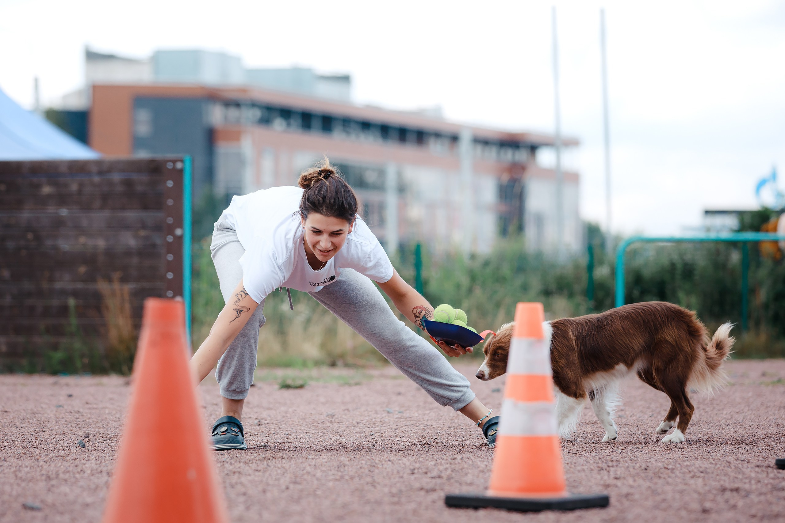 Питч&Гоу + веселые старты. Фотограф-анималист Mary Mart — Москва, Питер