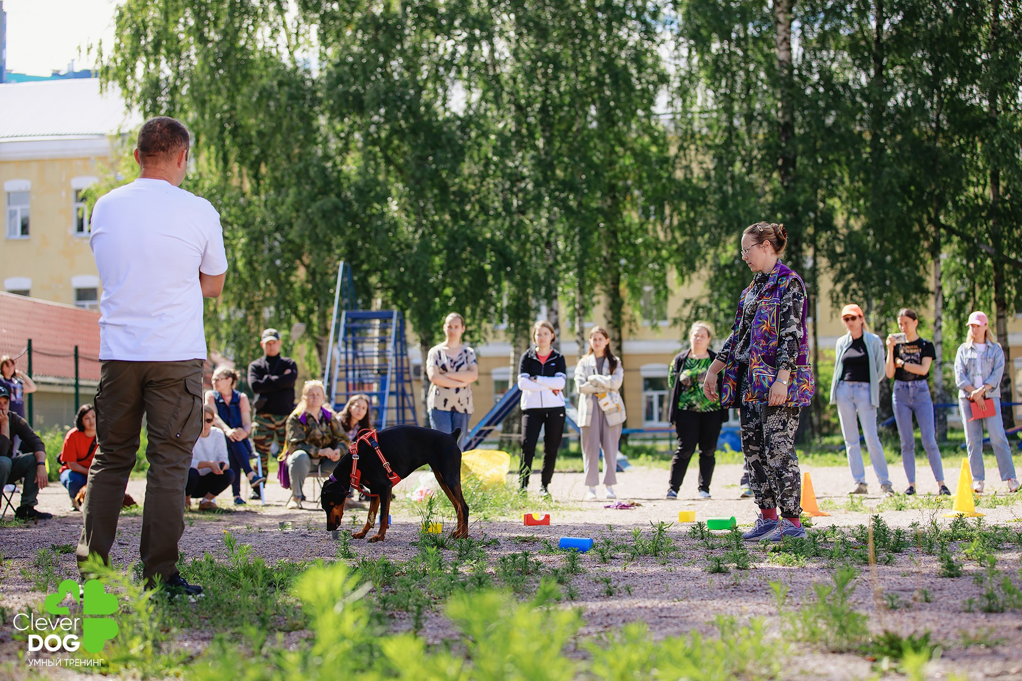 Семинар по поиску запаха с Иваном Ломовым, организатор CleverDog, СПб. Фотограф-анималист Mary Mart — Москва, Питер