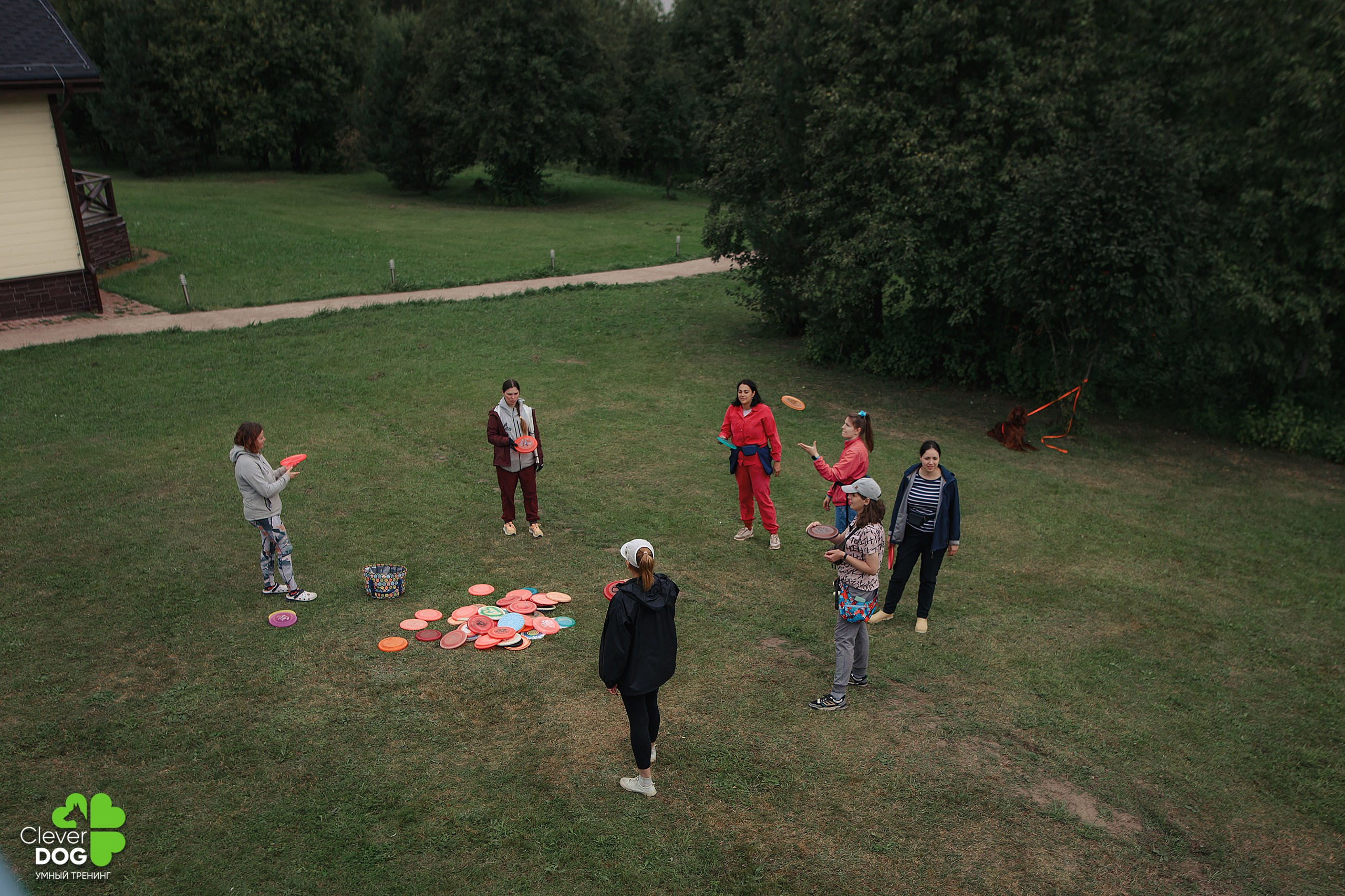 Кинологический лагерь CleverDog, 2024. Фотограф-анималист Mary Mart — Москва, Питер