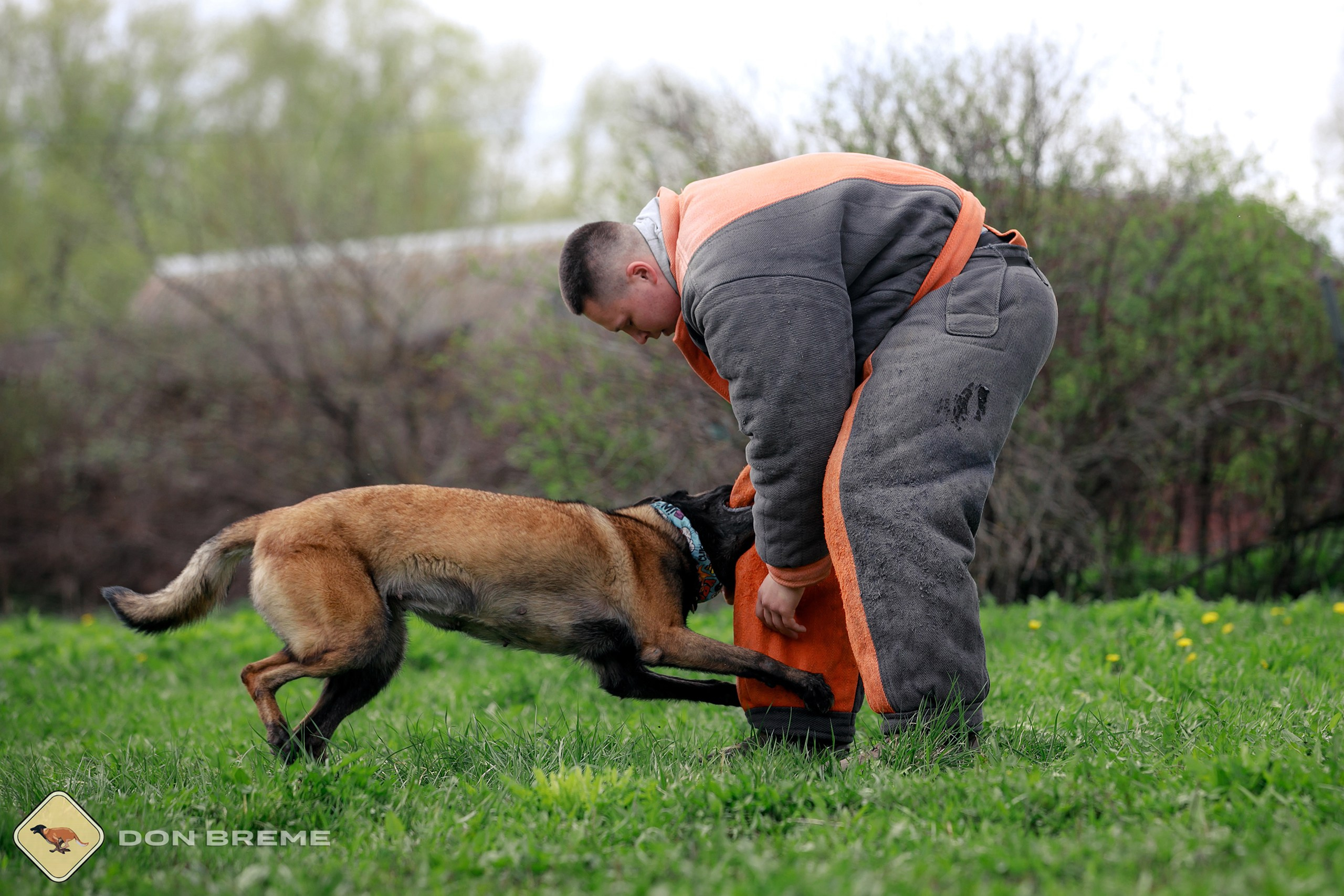 Семинар для фигурантов, день 2. Фотограф-анималист Mary Mart — Москва, Питер